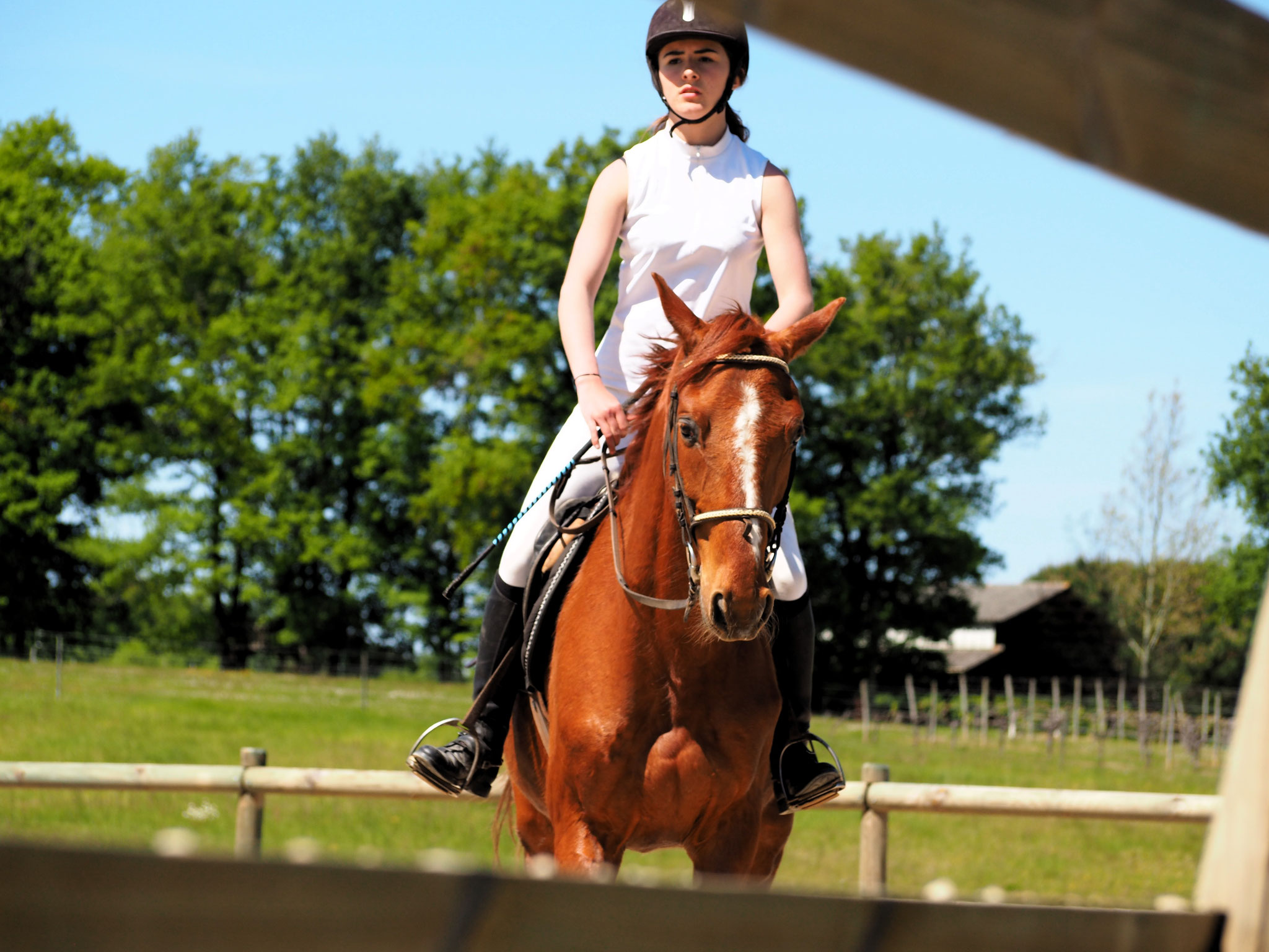 Marie B et steven en club 2 (90 cm) 