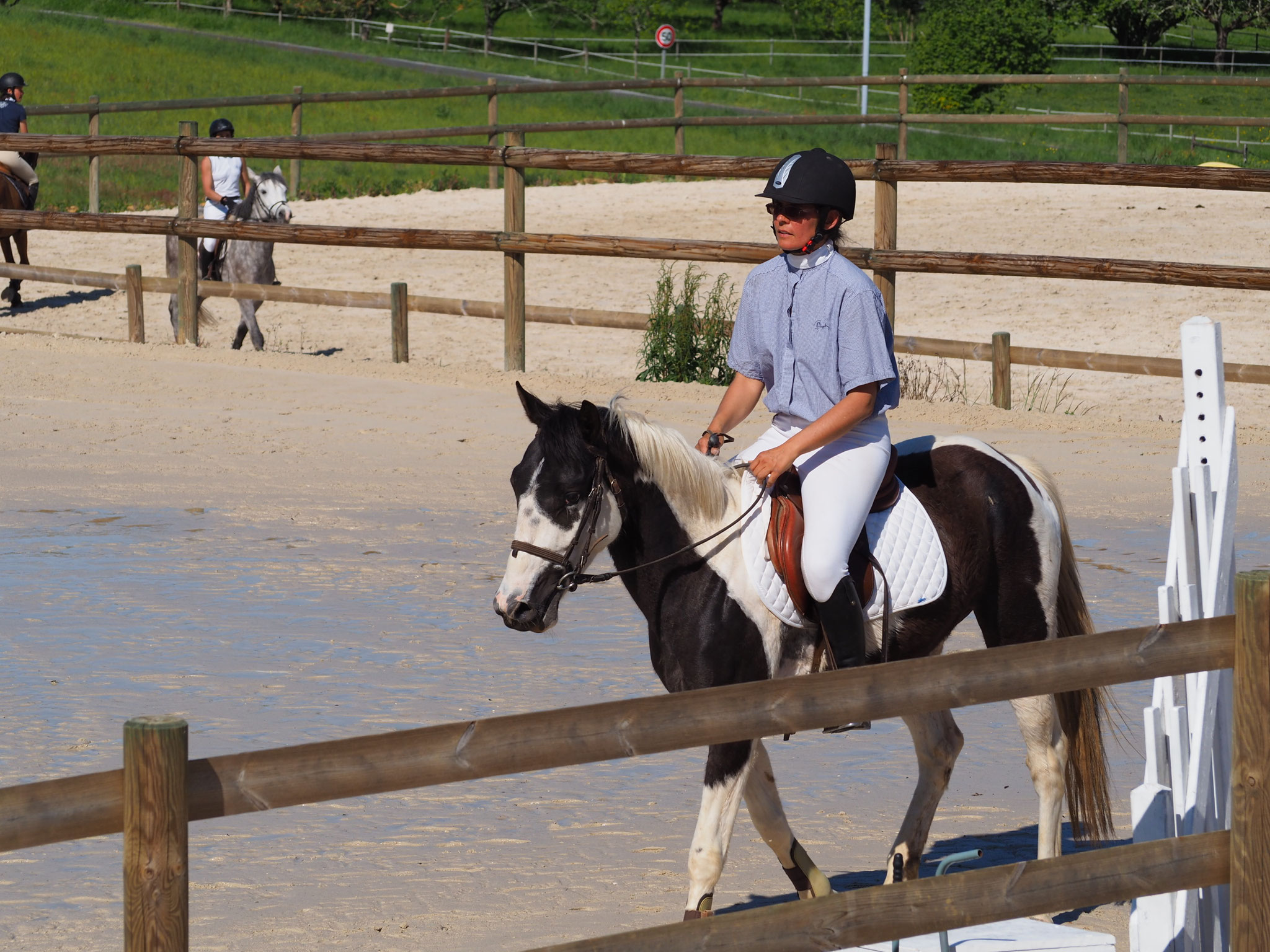 Aurélie et Dream en épreuve jeunes chevaux