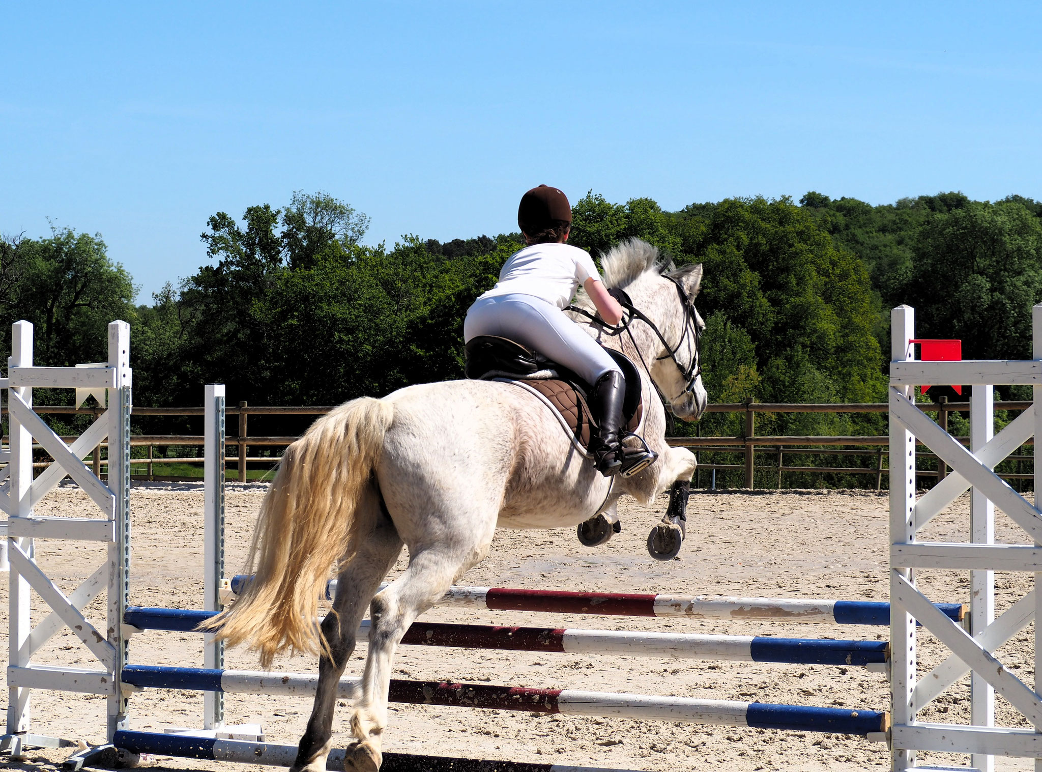 Bénédicte et Boy en club 3 (80 cm)