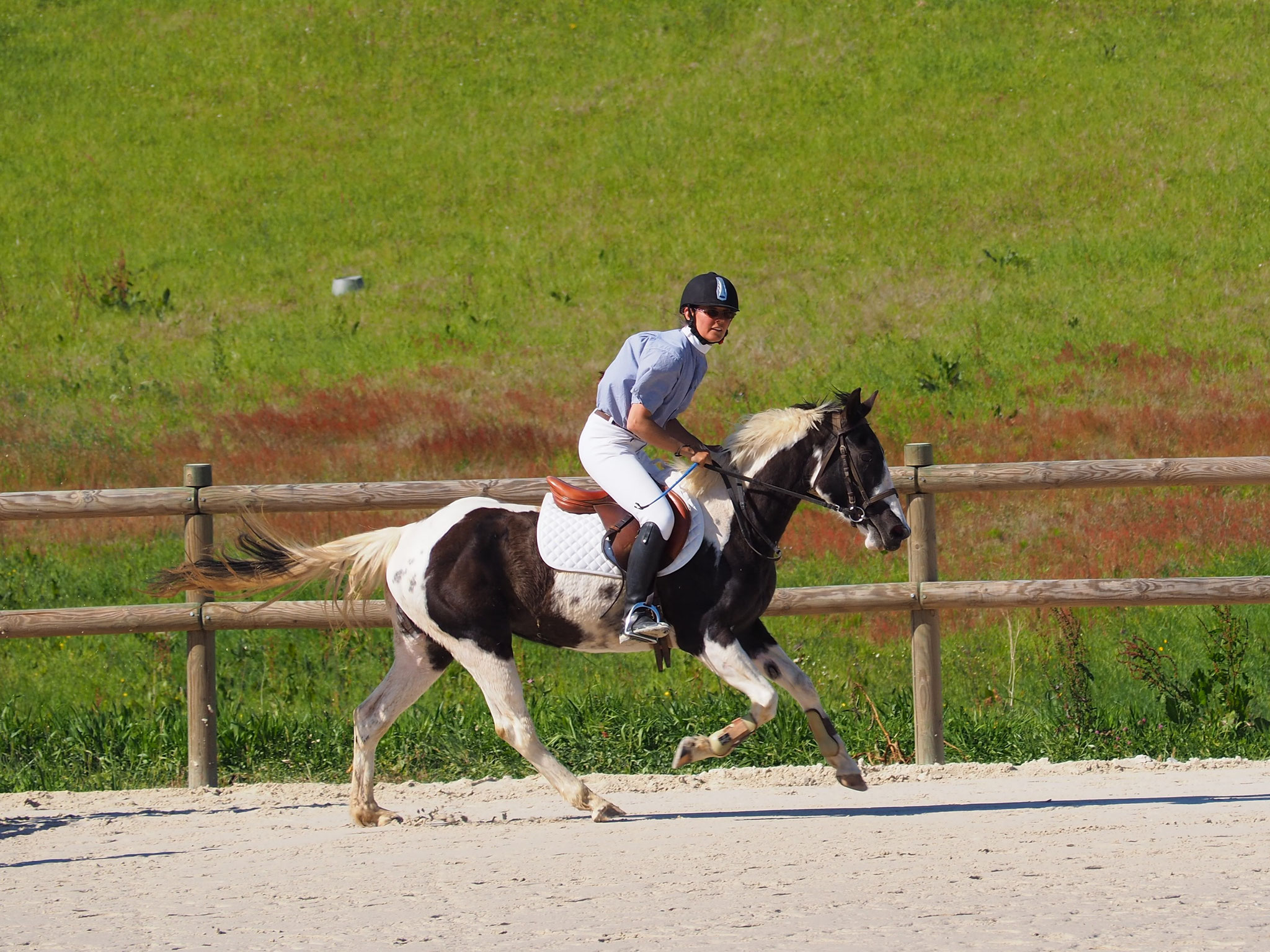 Aurélie et Dream en épreuve jeunes chevaux