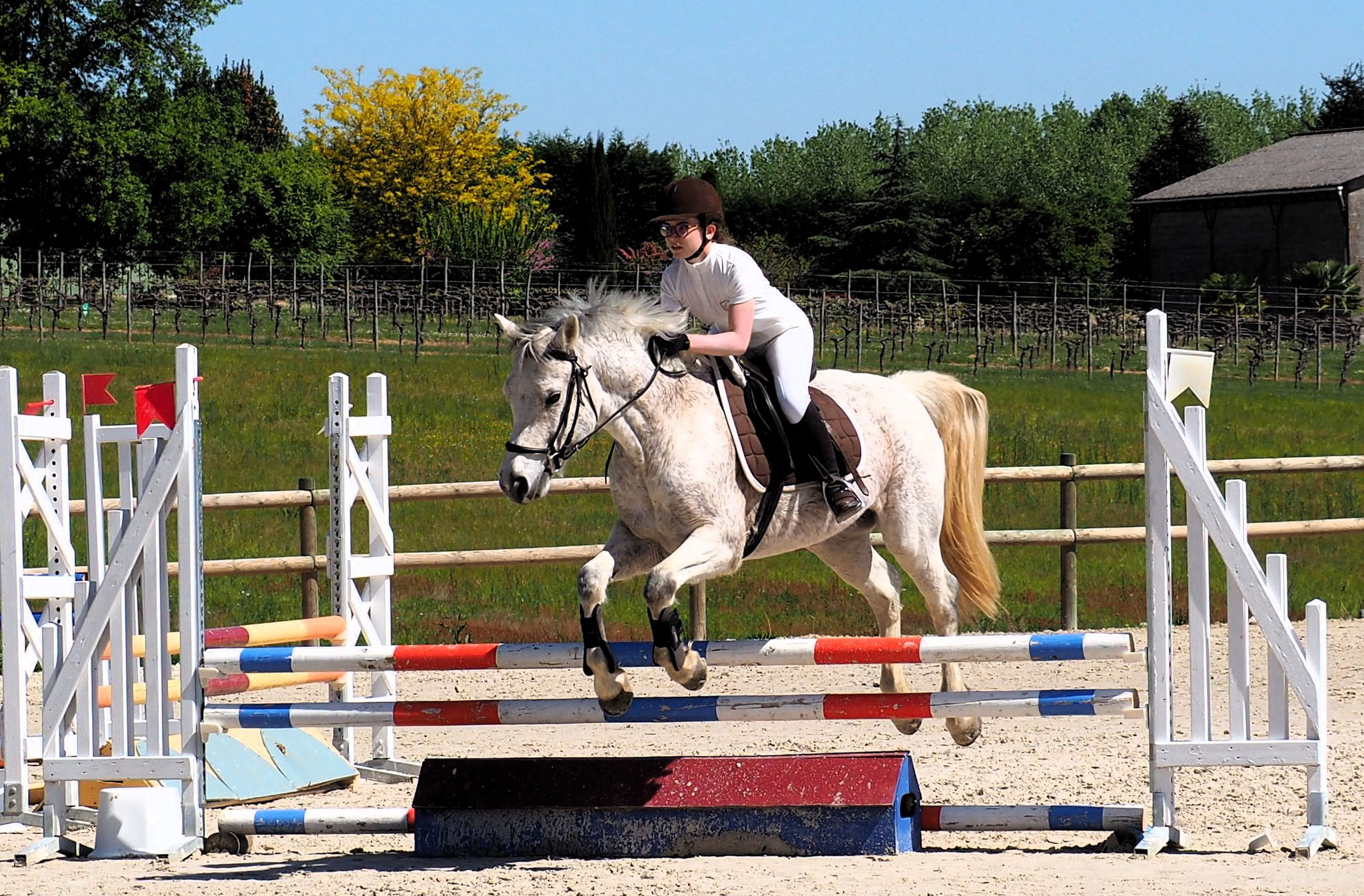 Bénédicte et Boy en club 3 (80 cm)