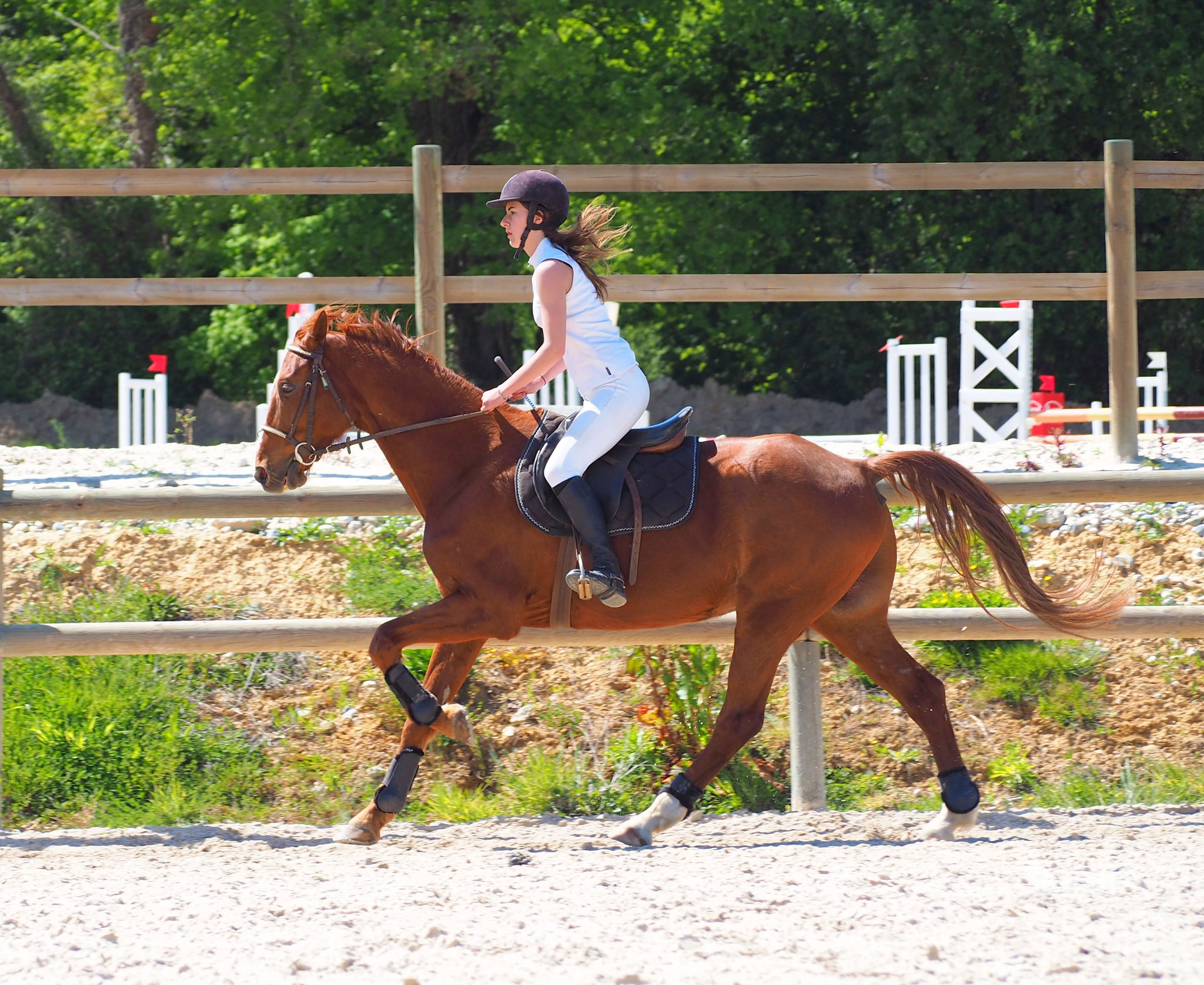 Marie B et steven en club 2 (90 cm) 