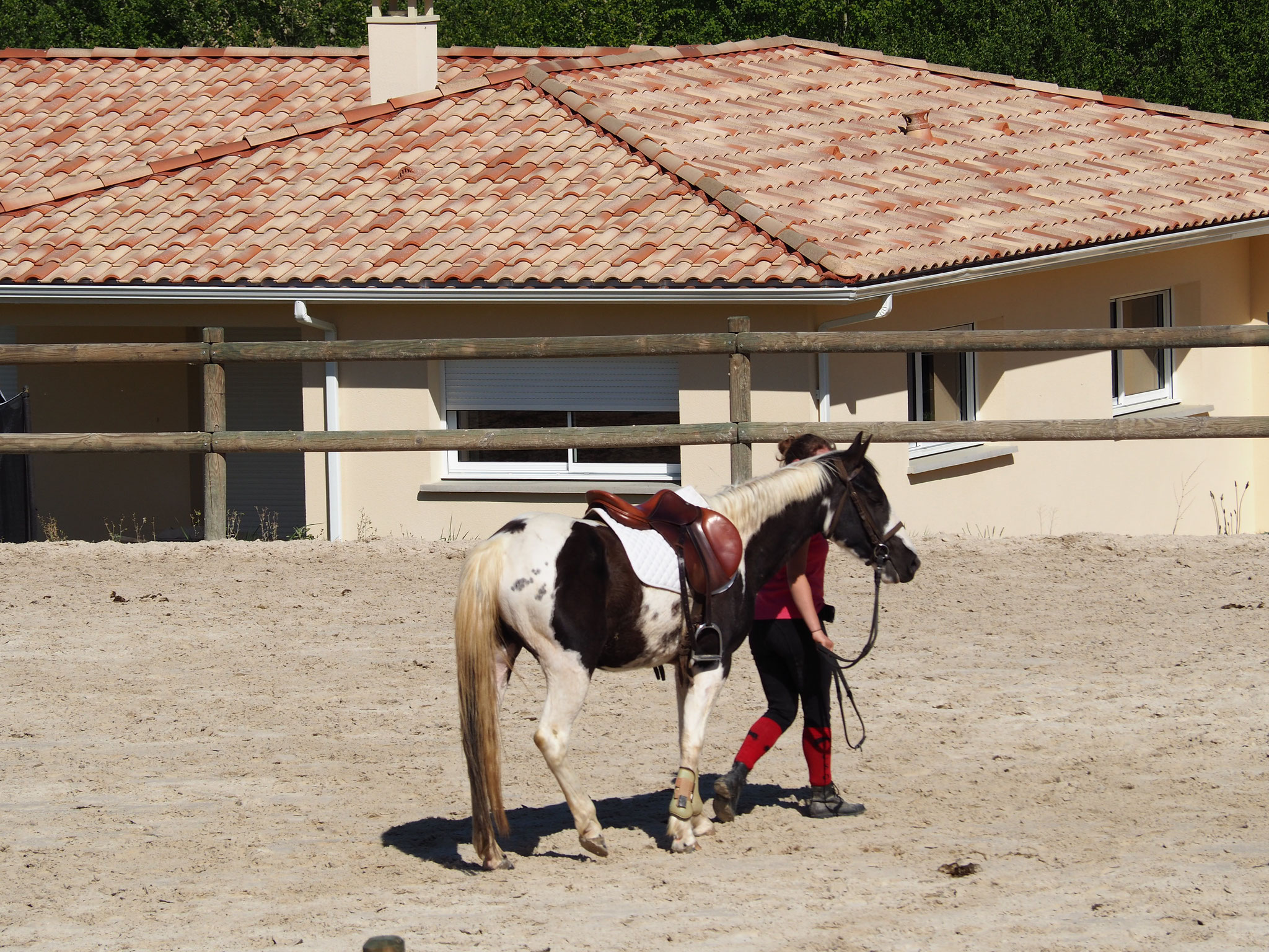 Aurélie et Dream en épreuve jeunes chevaux 