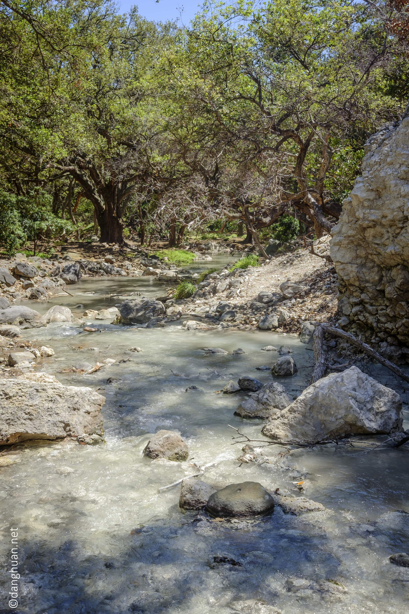 Piscines thermales naturelles dans le parc