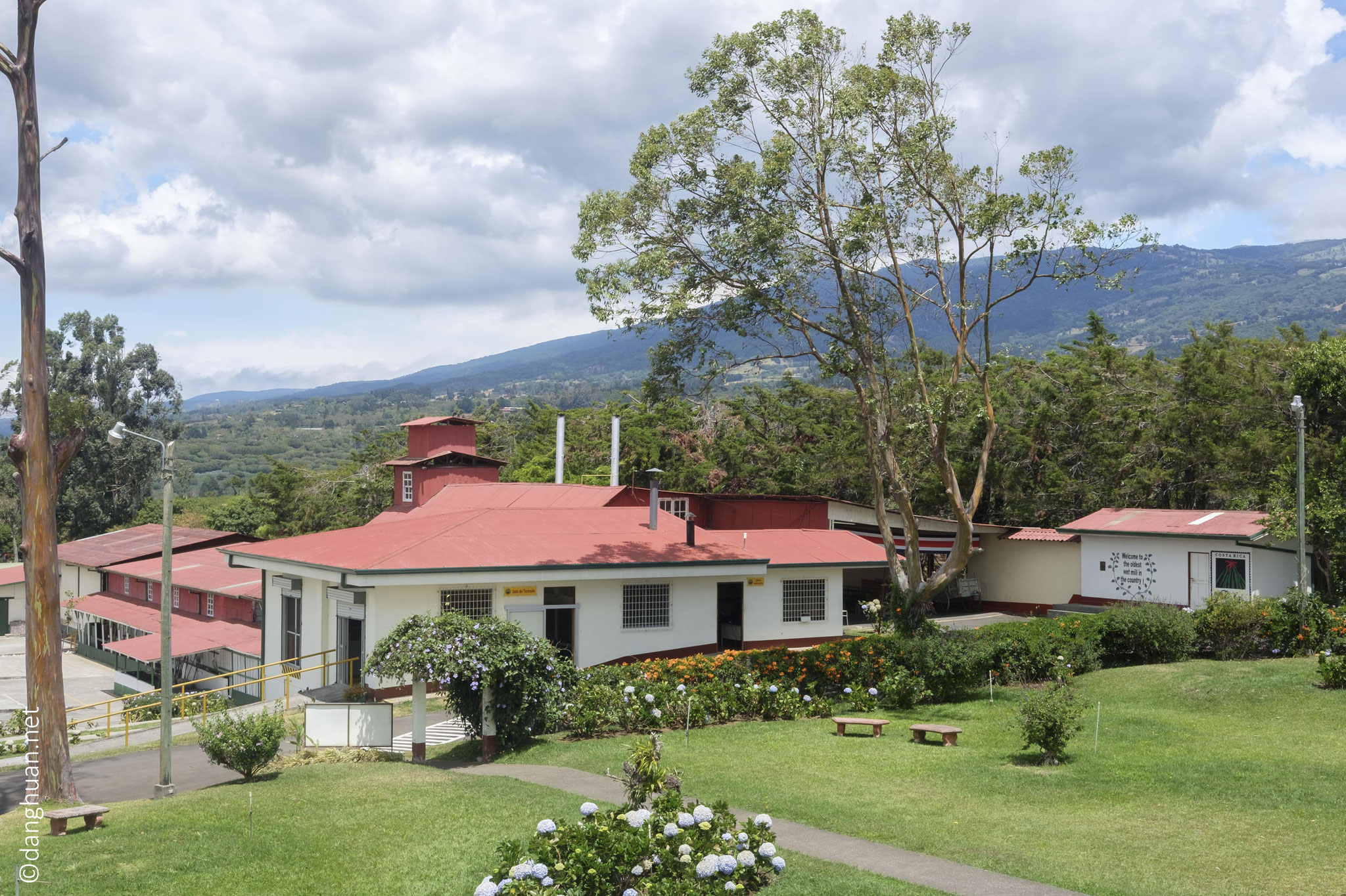 Plantation de café 'Doka Estate' dans la région d'Alujuel