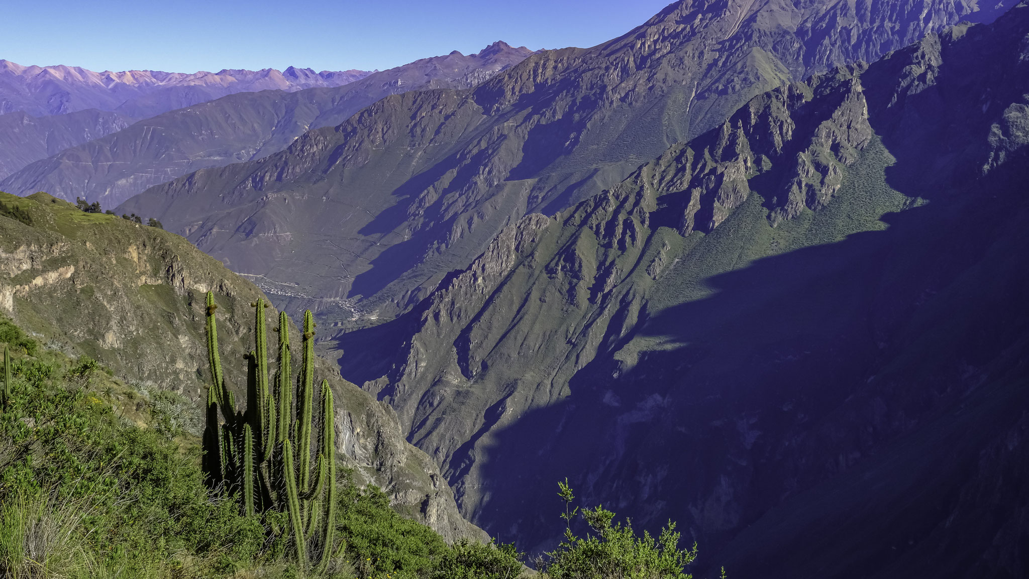 qui survolent la vallée