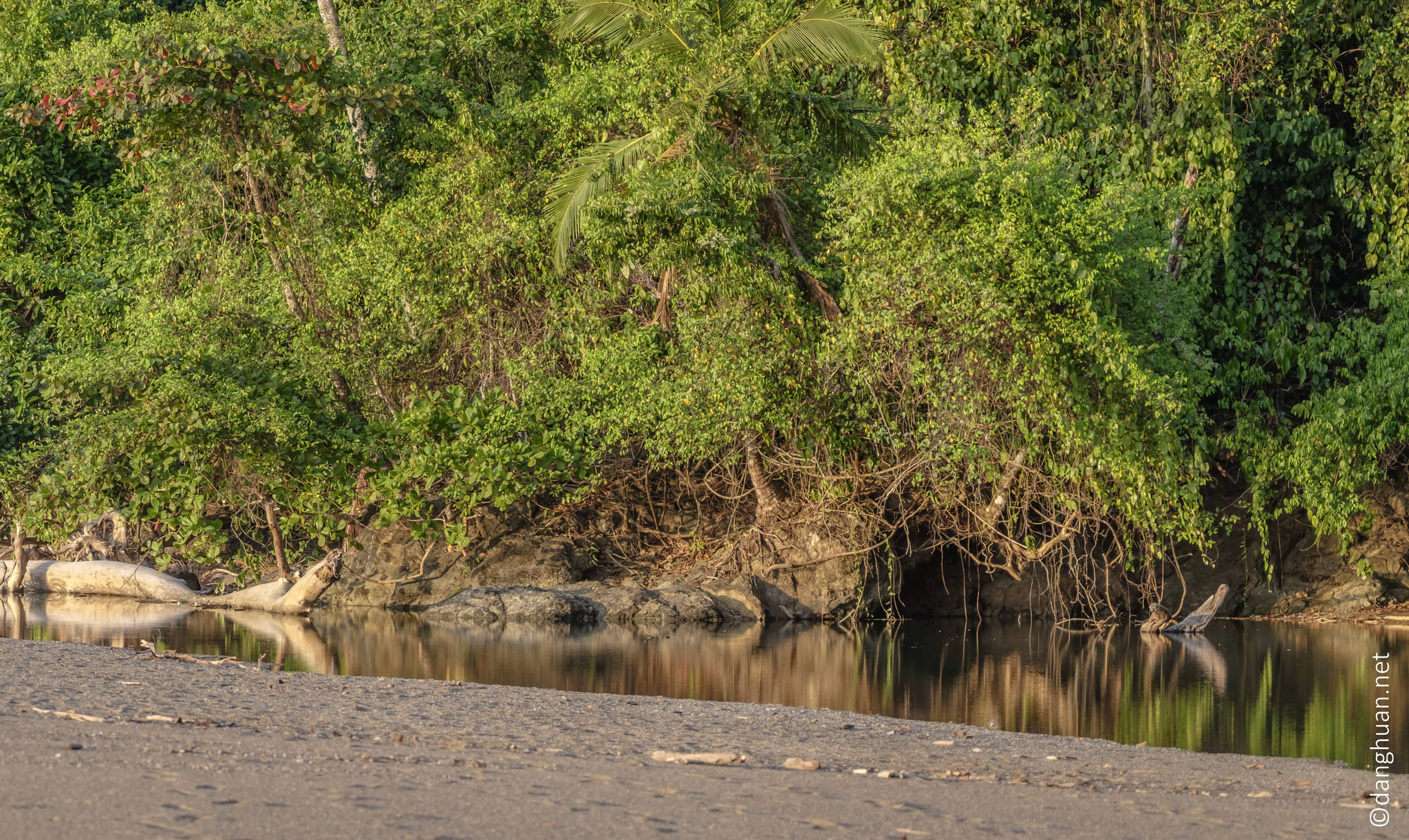 rio Claro, lac d'eau verte claire situé à proximité de la plage (océan pacifique)