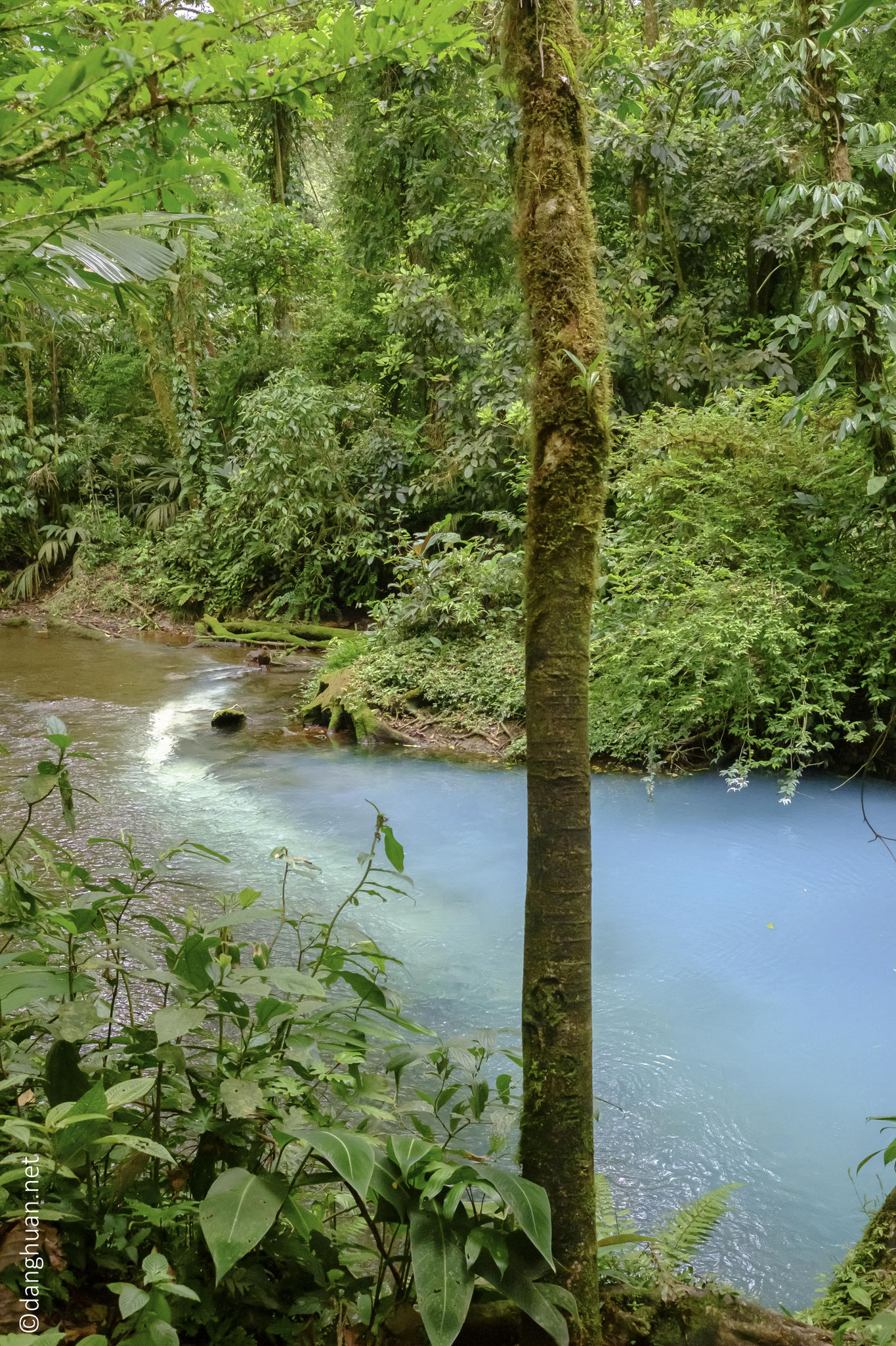 produit à la rencontre des 2 rivières : la Quebrada Agria (pH acide) et le Rio Buenavista (chargé en particules de silicates d’aluminium)...