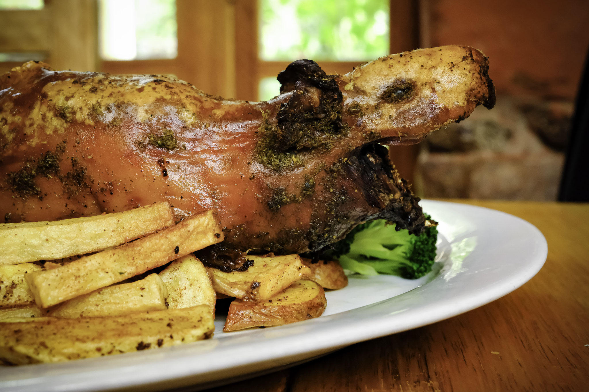 Cuy (cochon d'inde)