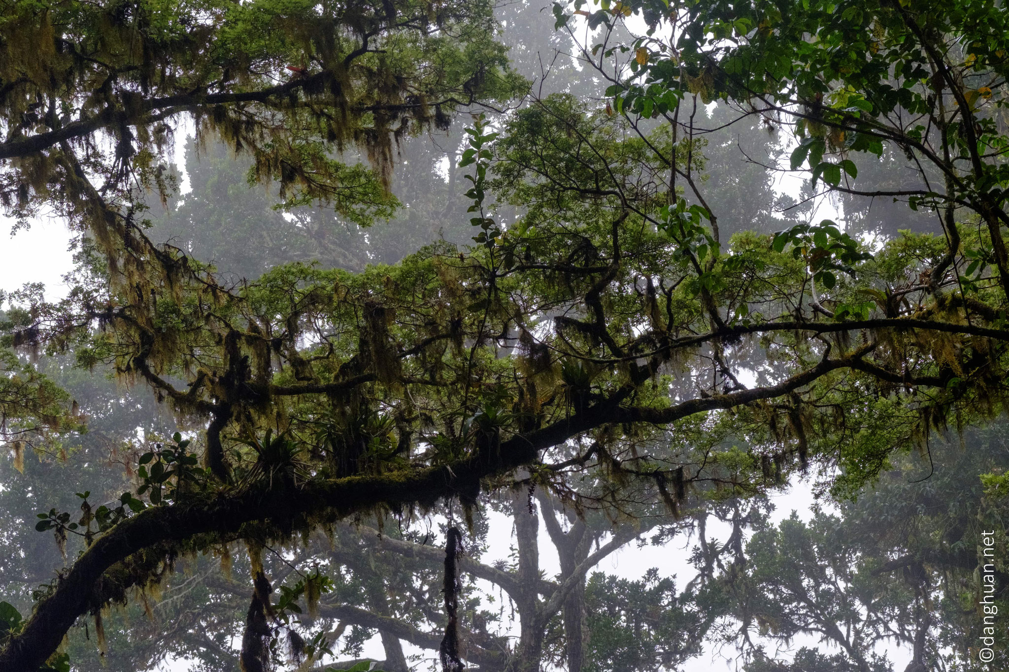 ... presque toujours ensevelie sous le brouillard.....