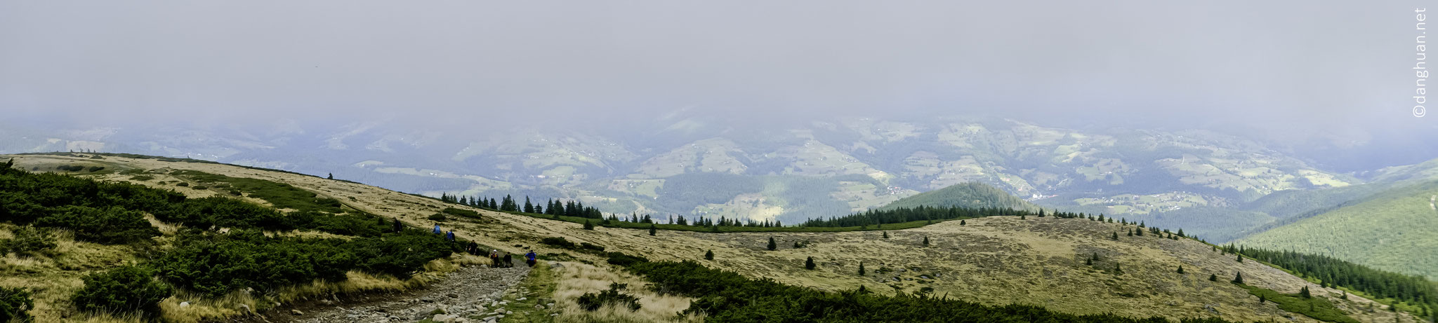 Les monts Apucènes abritent à l'intérieur du parc naturel Apuseni de nombreuses espèces de mammifères dont ...