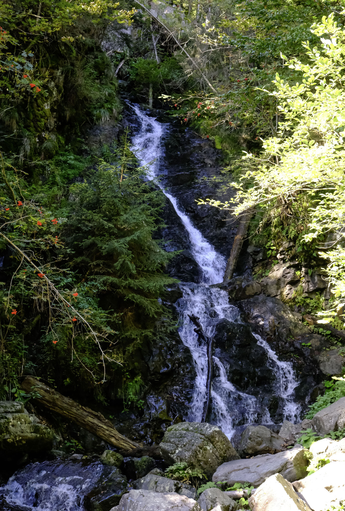 Cascade Bucinis