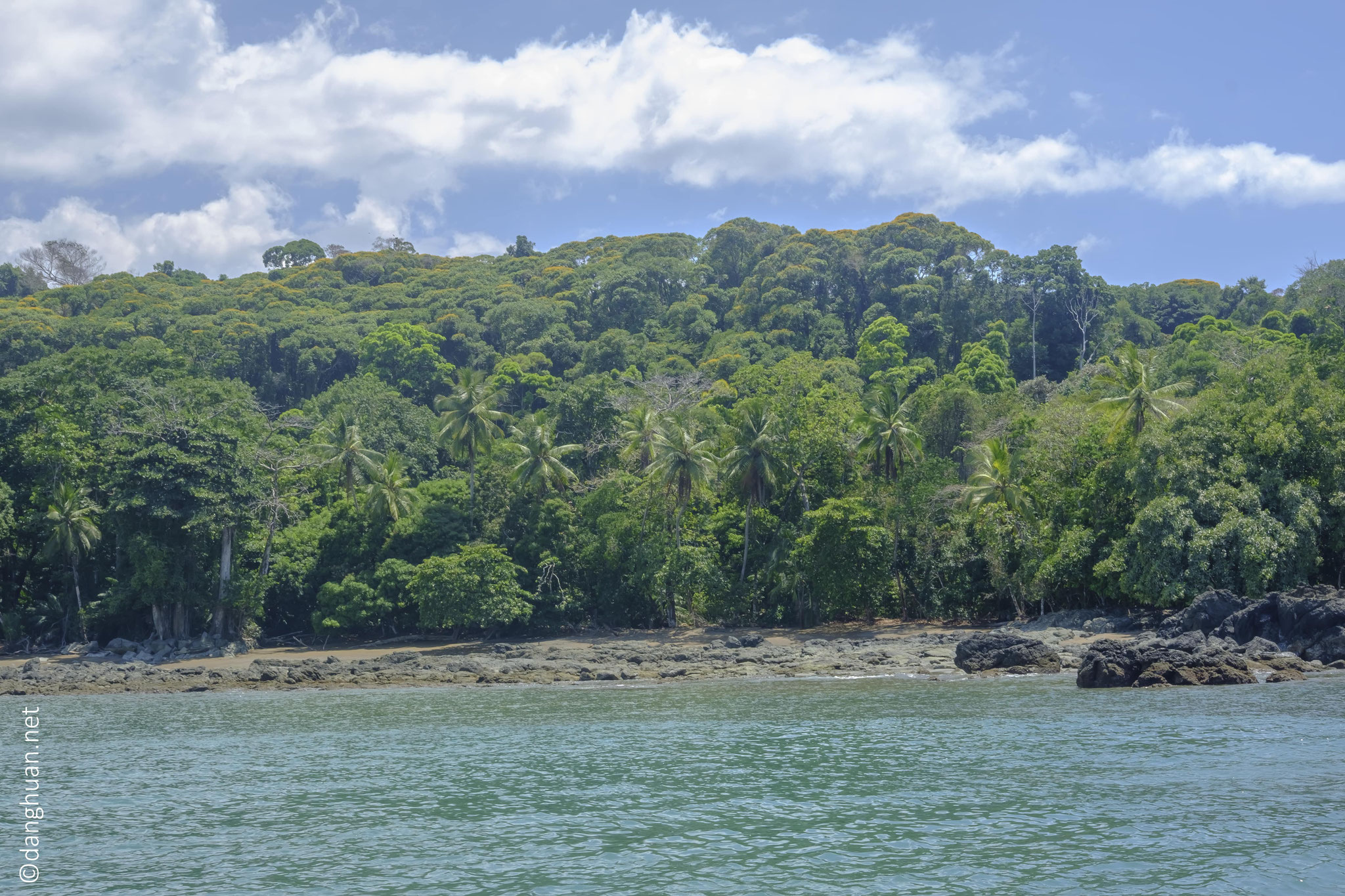 Les forêts humides tropicales qui composent la péninsule d'Osa ...