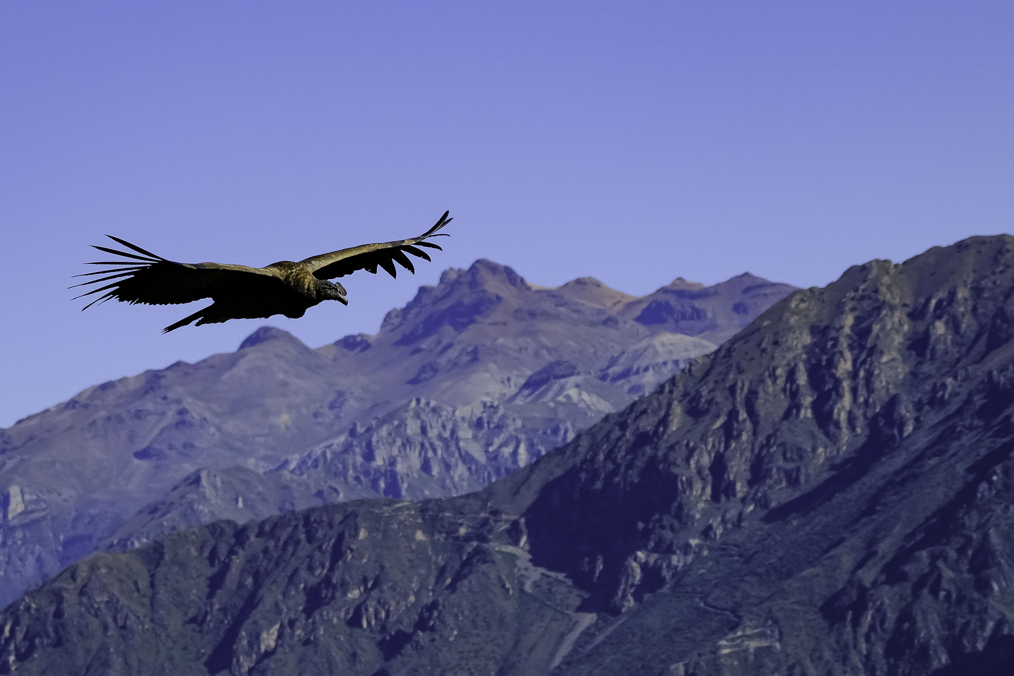 sans recourir à ses ailes...