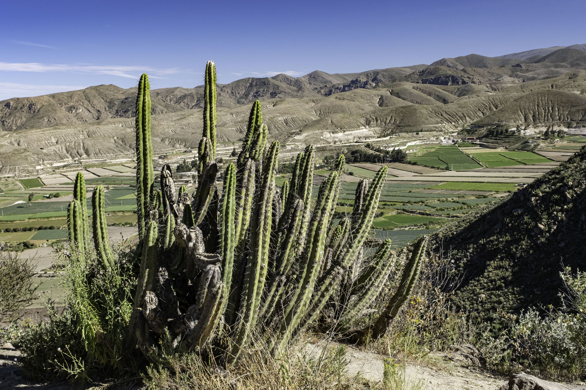 sur la route d'Arequipa à Chivay
