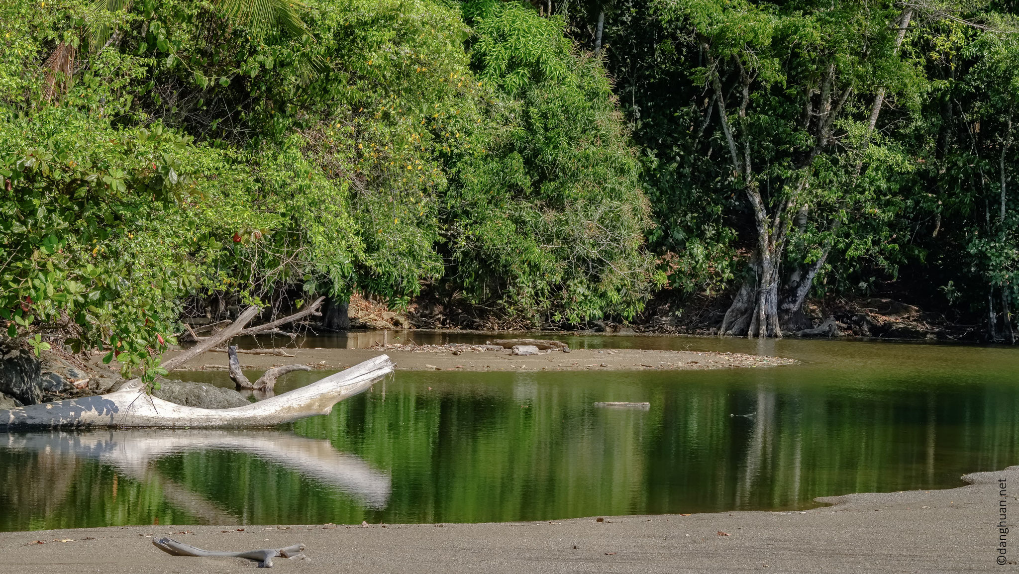 rio Claro, lac d'eau verte claire situé à proximité de la plage (océan pacifique)