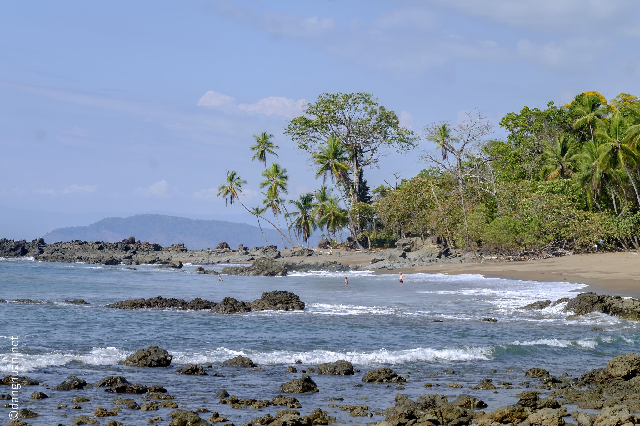 le long de la côte dans la fôret du littoral de la pénisule d'Osa