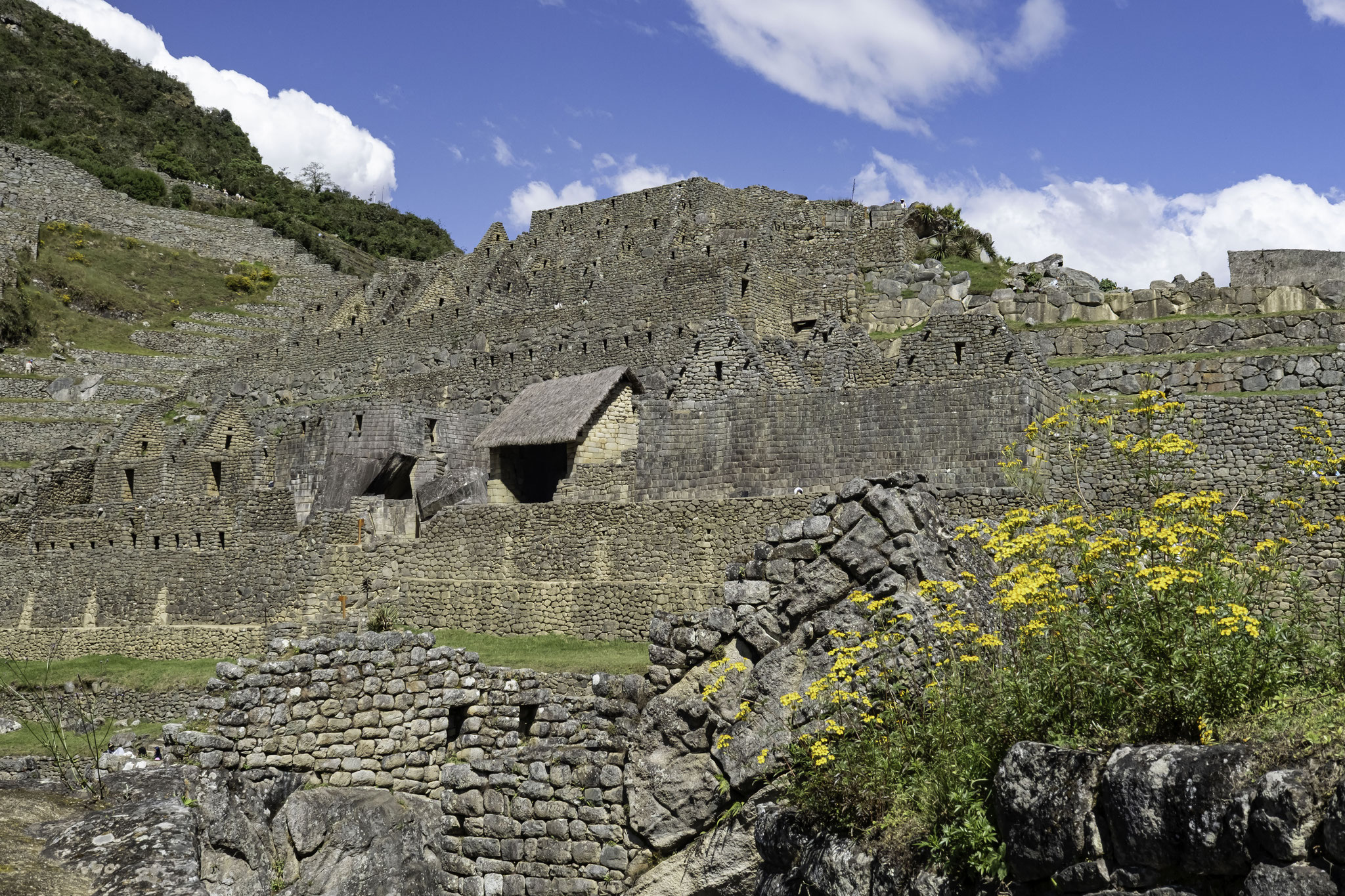 Les Incas ont exploité une source naturelle située sur un versant abrupt au Nord de Machu Picchu