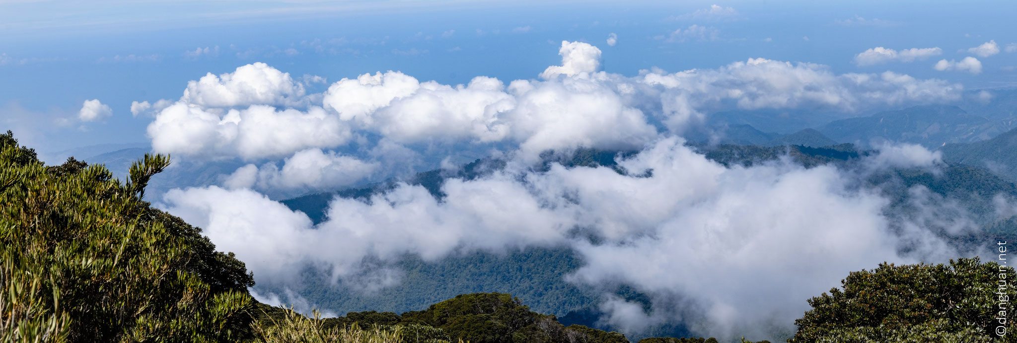 Descente de 1200m en 4H depuis le niveau des nuages de la forêt brumeuse de San Gerardo jusqu'à 2000m