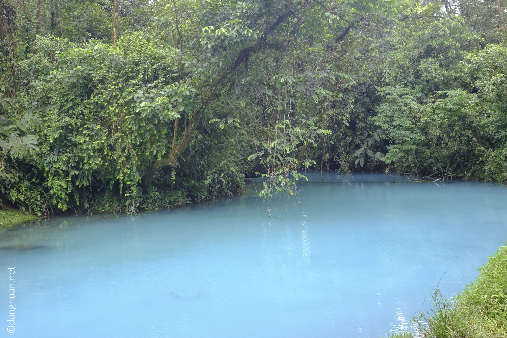 L'eau turquoise de la Rio Céleste du parc national du volcan Tenorio est due à un phénomène chimique...
