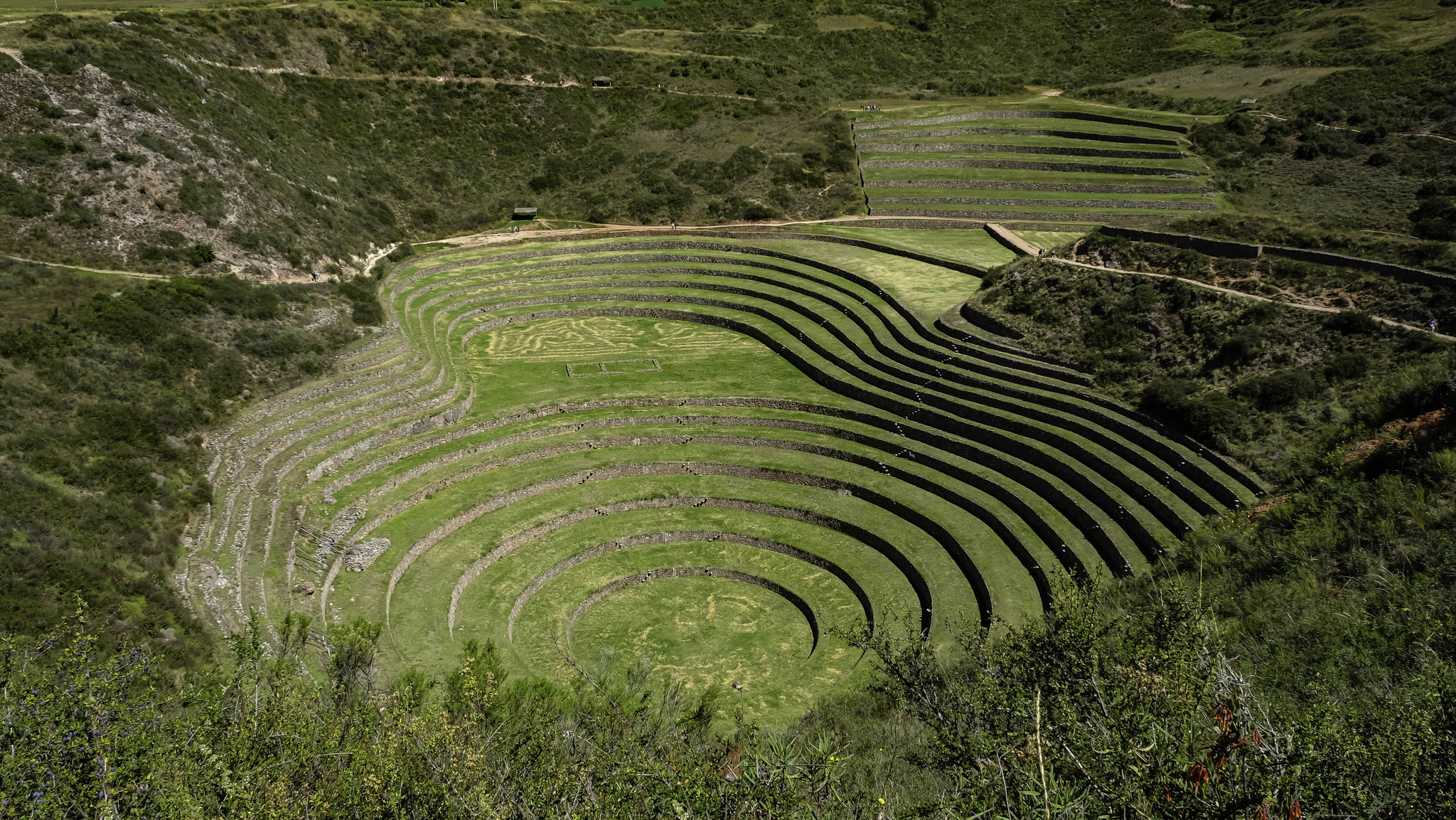 Les terrasses de 2m de haut environ ont révélé la culture de quelques 250 légumes et céréales