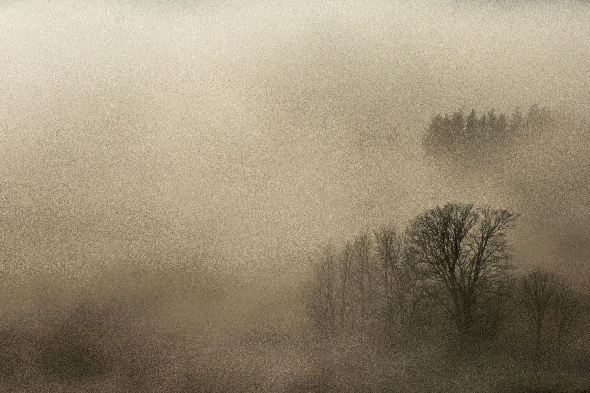 Rainer Grossmann