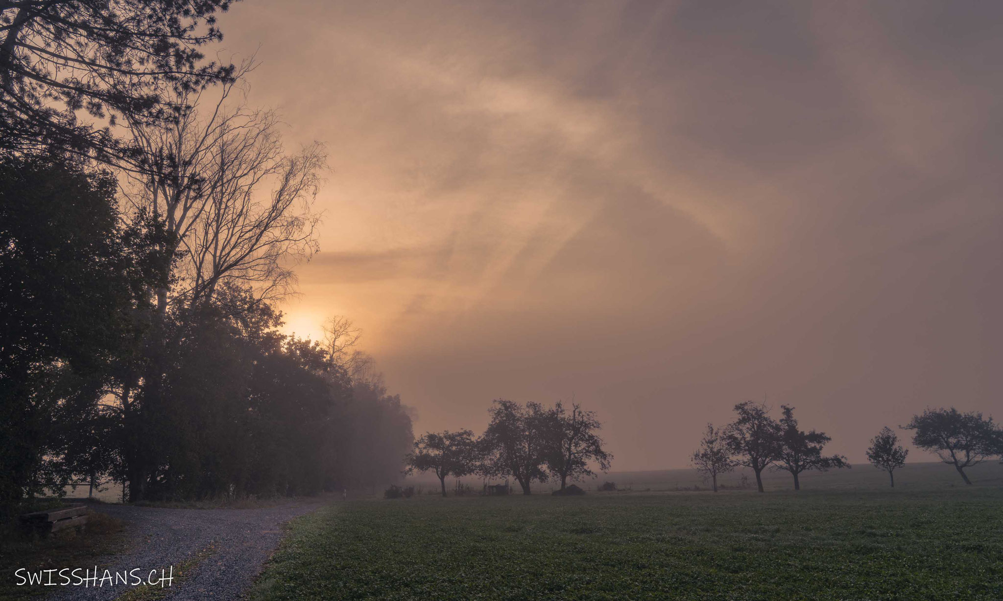 Im Riet, Marbach