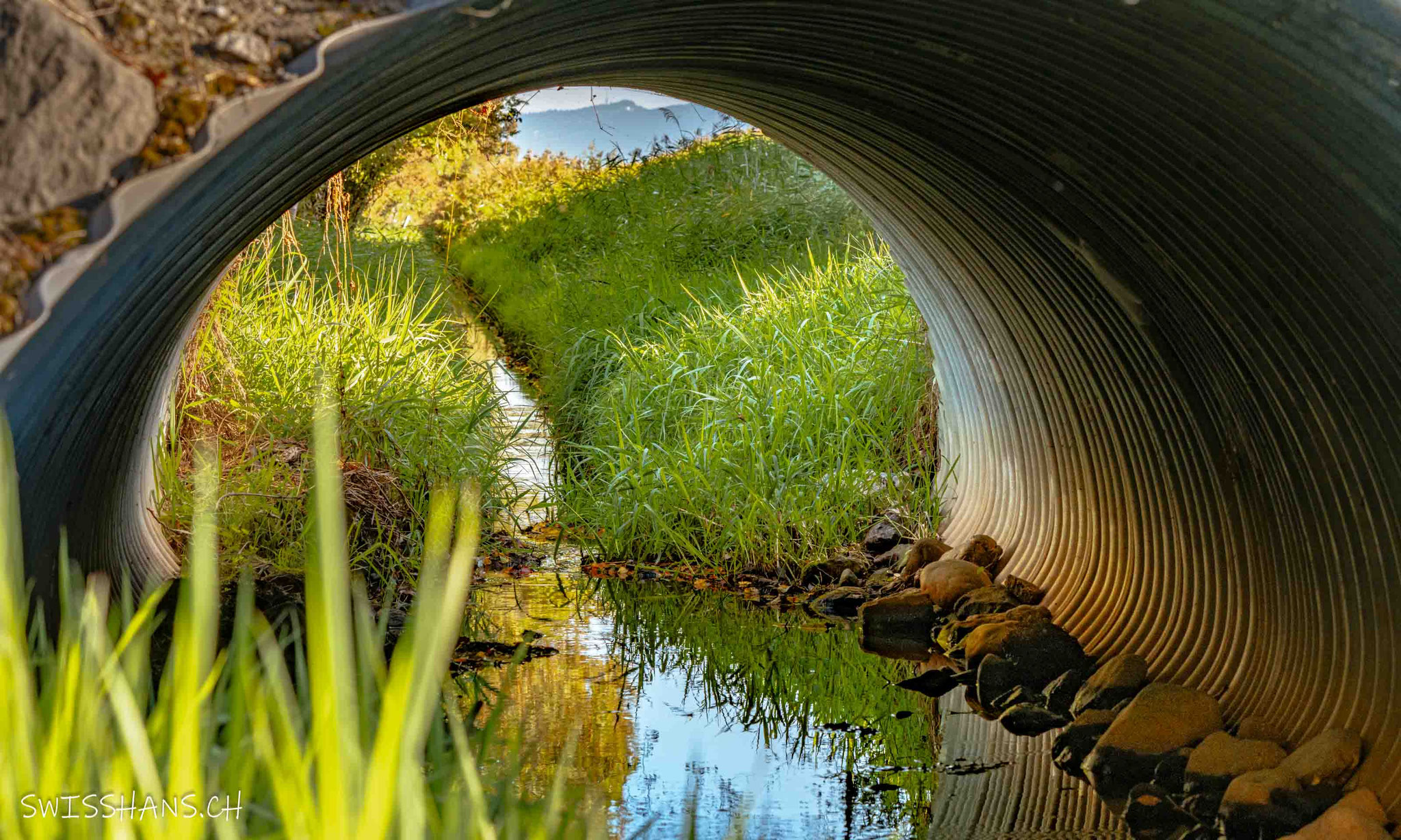 Brücke im Riet, Montlingen