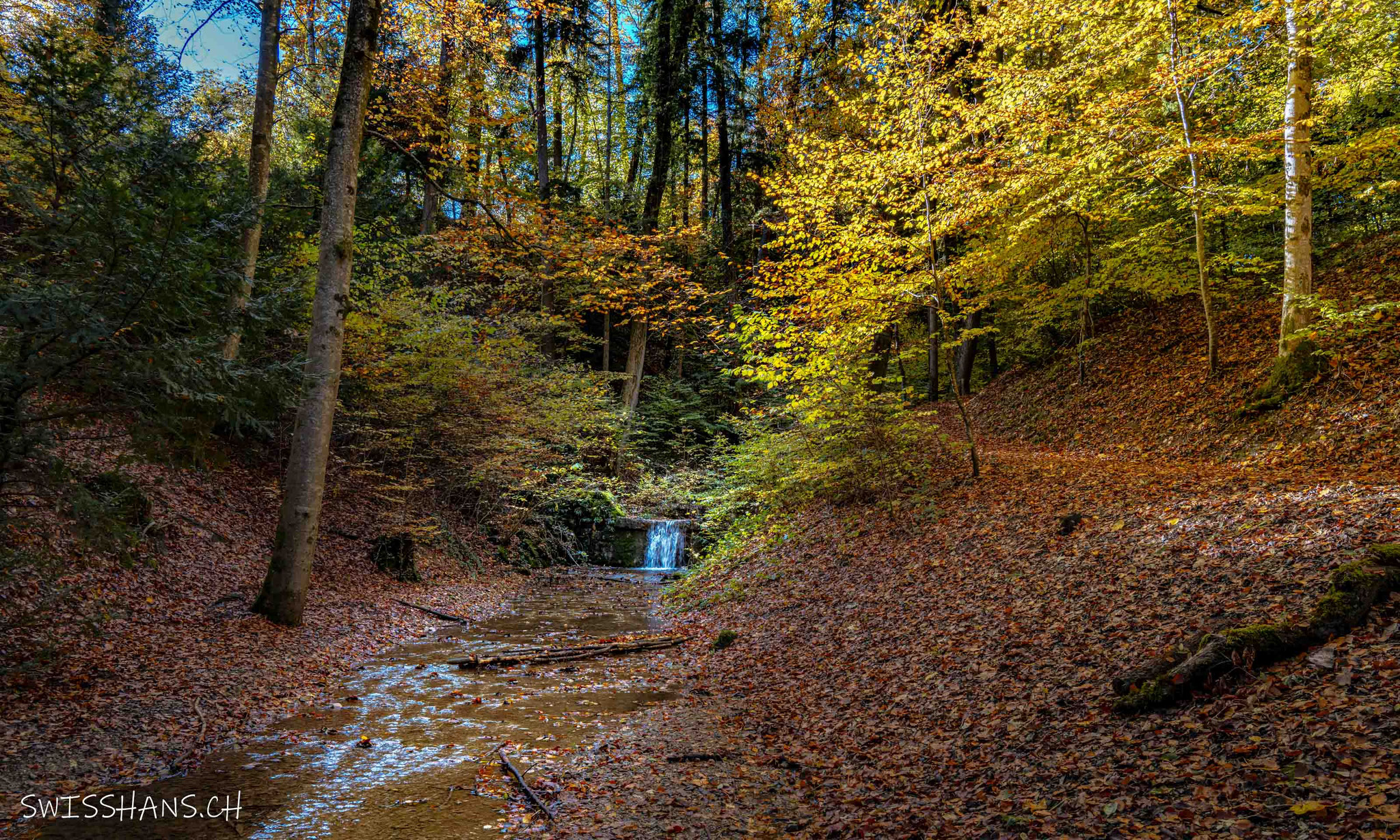 Töbeli, Rebstein