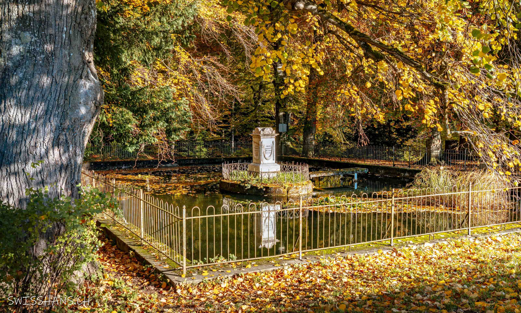 Schlossweiher beim Schloss Grünenstein, Balgach