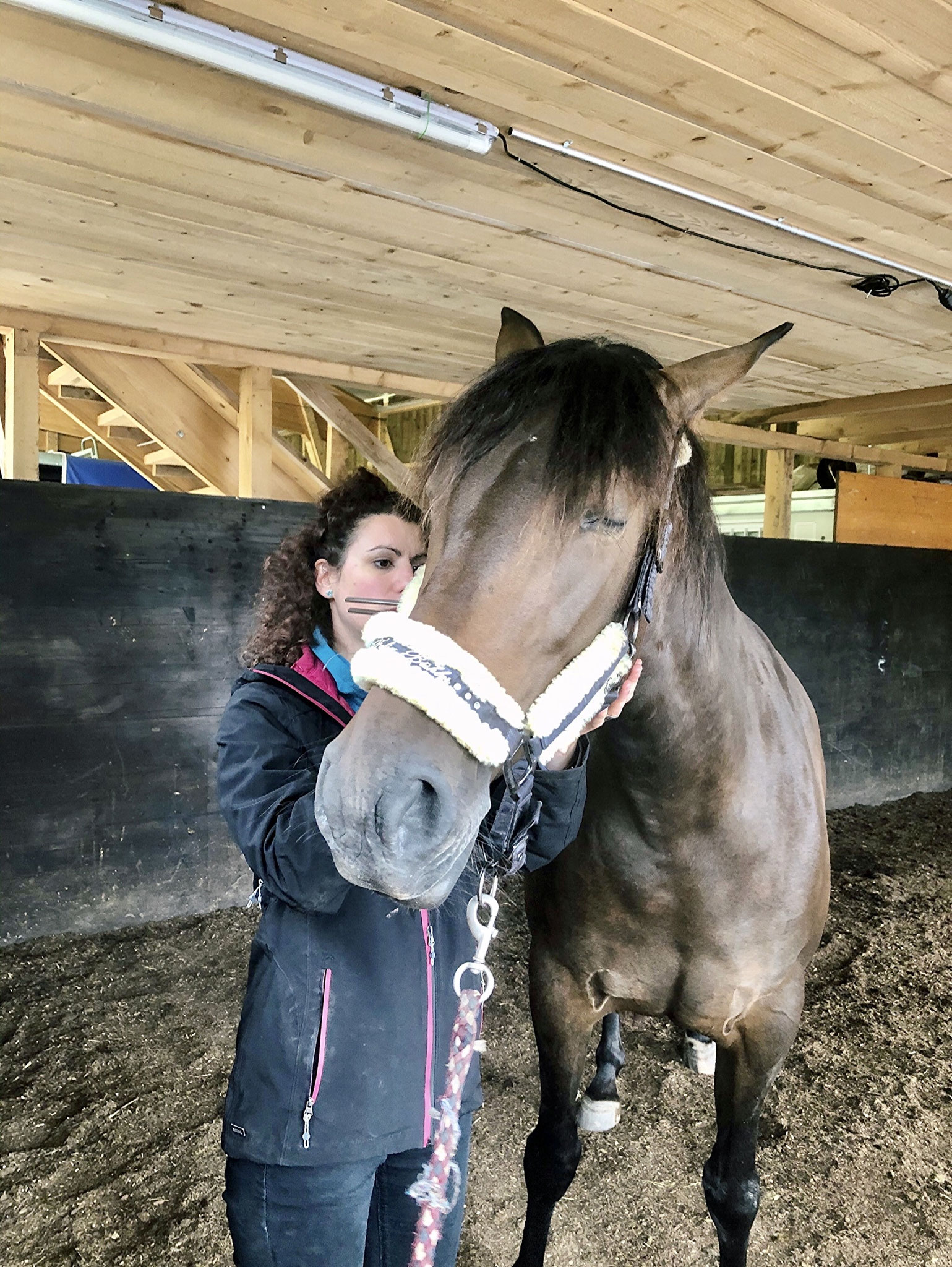 Sonja Spitteler, Ahyoka, horse Spirit, Schamanismus, Stimmgabel
