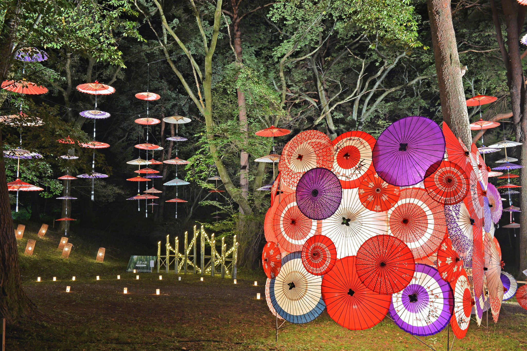 鬼怒川 月あかり花回廊 ９月２１日 水 ２０時受付開始 Miyacos