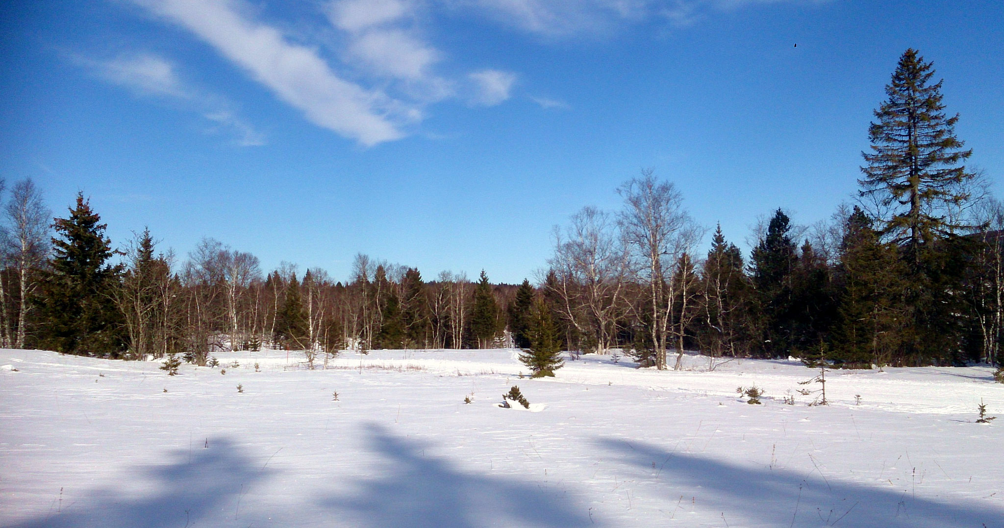 Lac des Mortes 22/01