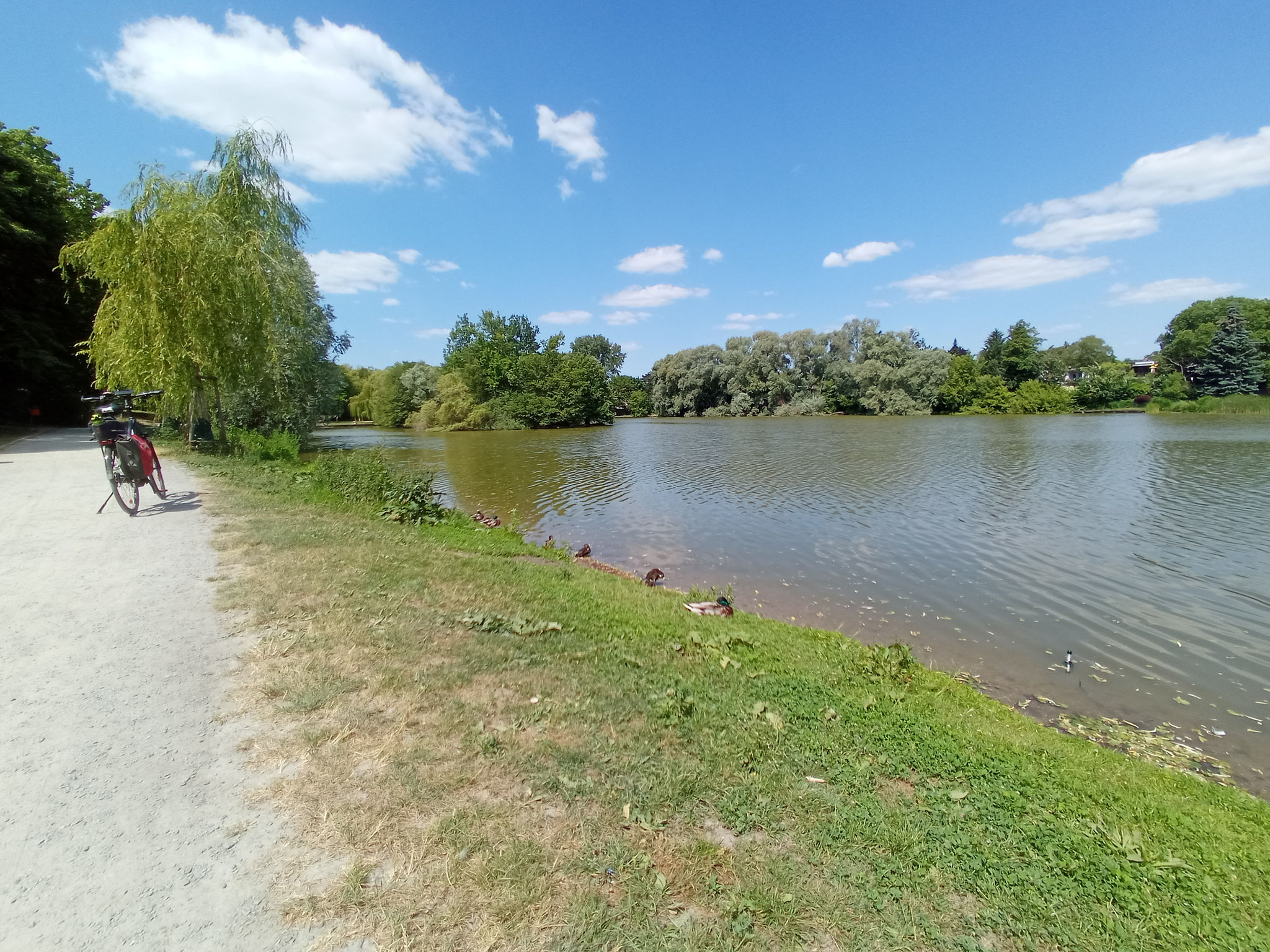 Obersee