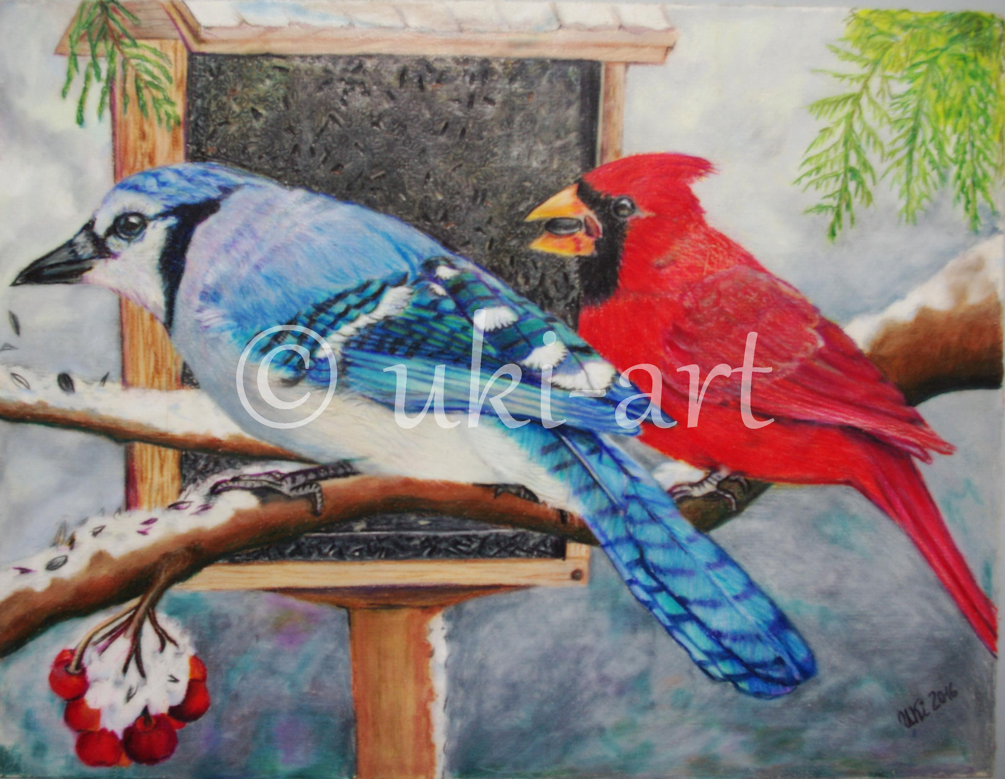 Vögel, colored pencil, DIN A3,  reference photo by Sally Robertson