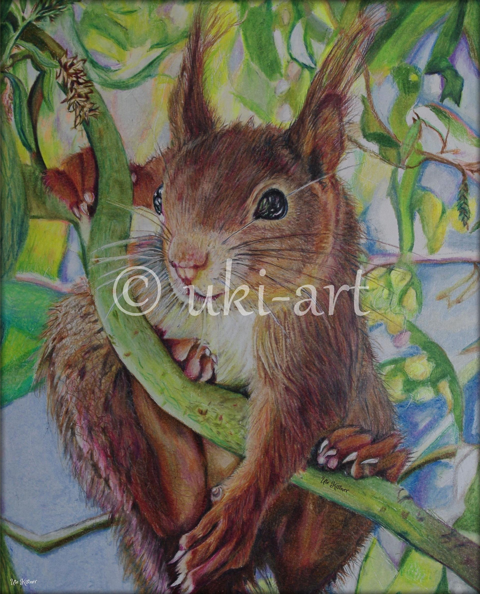 Eichhörnchen, colored pencil, DIN A3, reference photo by Simone Le Vrang