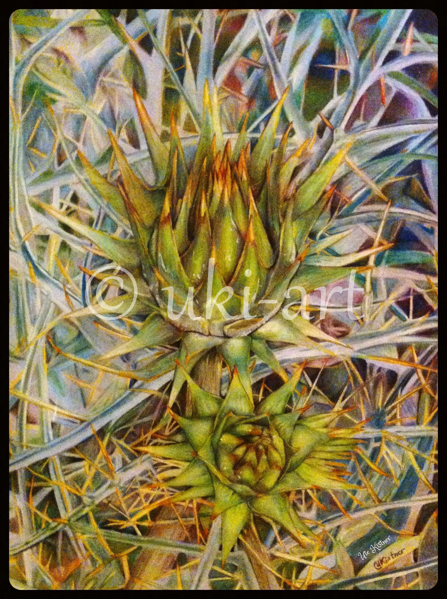 Stachelige Artischocken, colored pencil, Format: DIN A3, free reference photo from pixabay