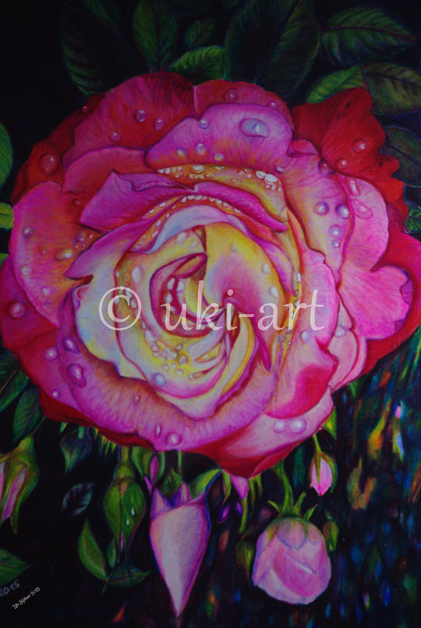 Rose mit Tautropfen, colored pencil, DIN A3, reference photo by my own