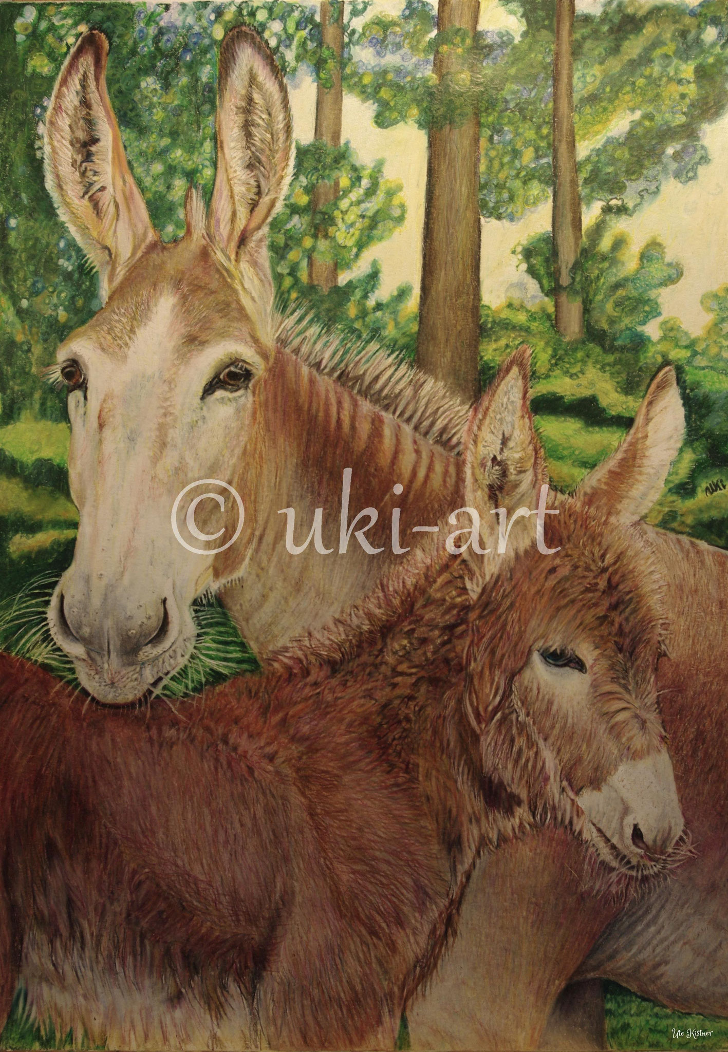 Esel, colored pencil, DIN A3, reference photo by Sally Robertson