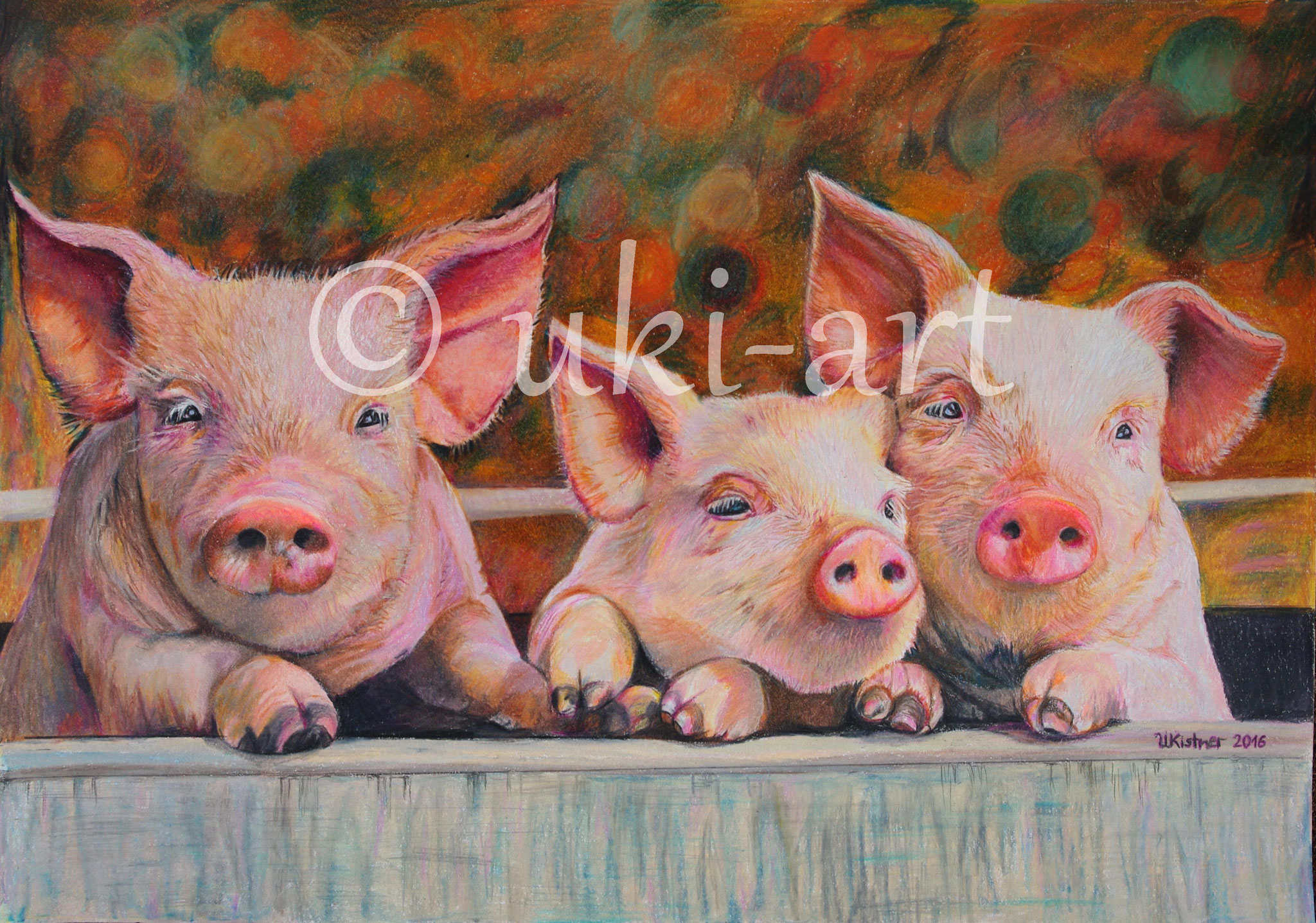 Schweinchen, colored pencil, DIN A3. reference photo by Petra Gispert