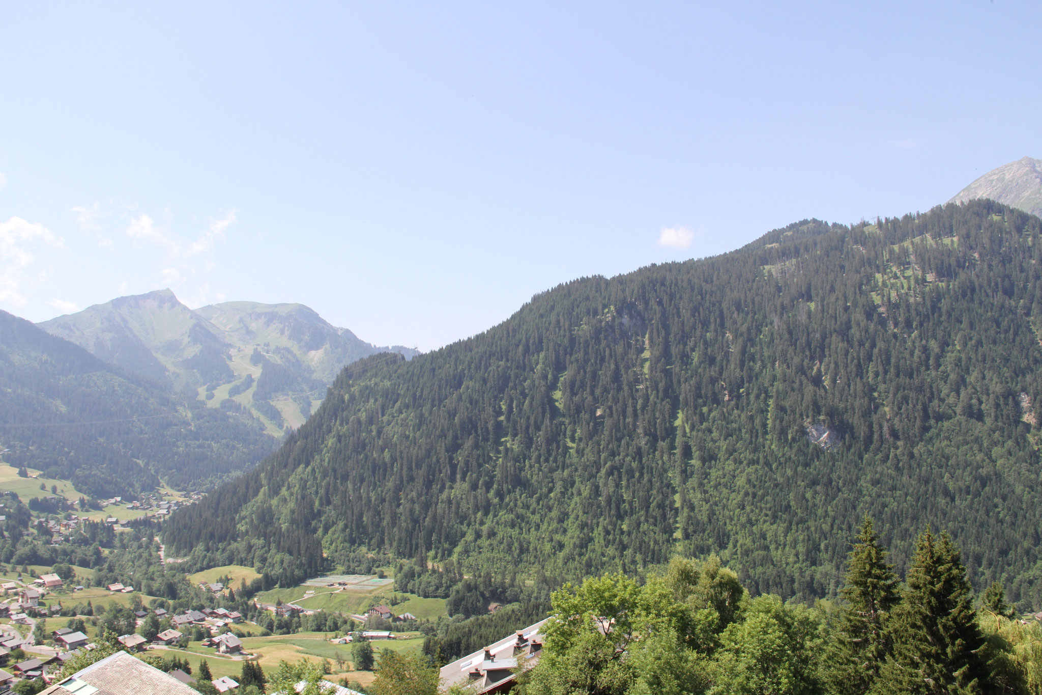 Vue du chalet Pensée des Alpes