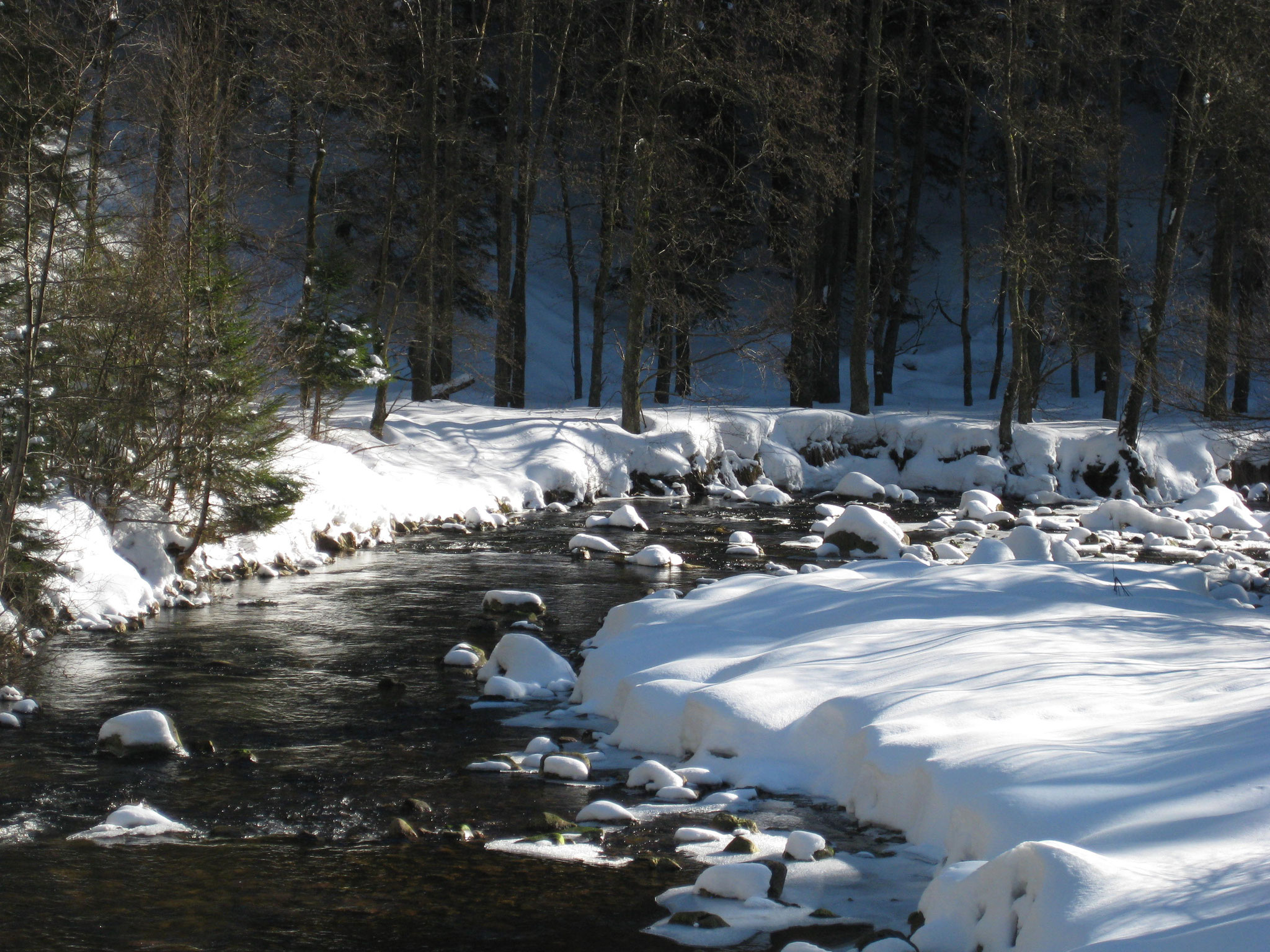 Oberharz