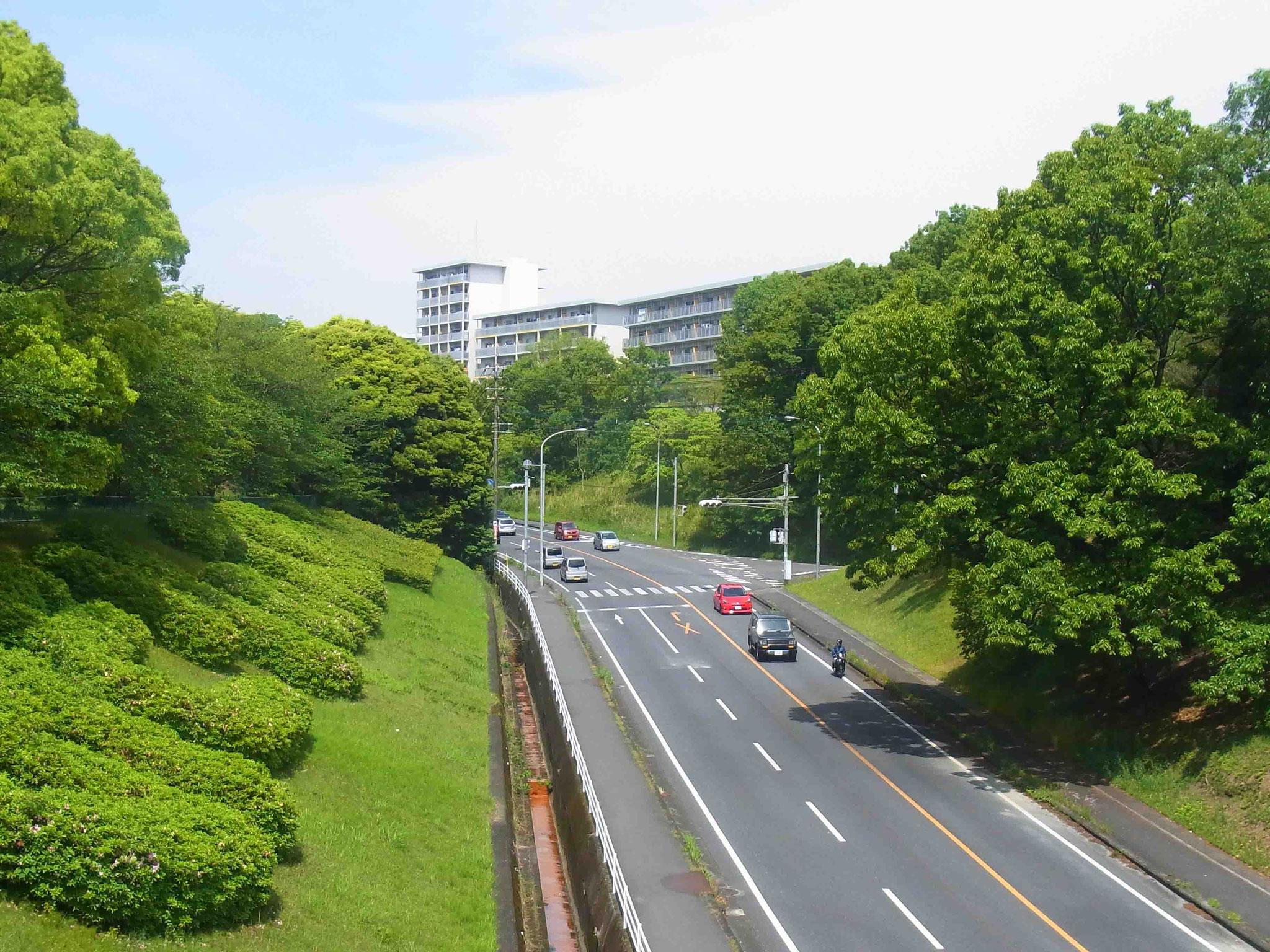 大分県大分市緑あふれる明野団地