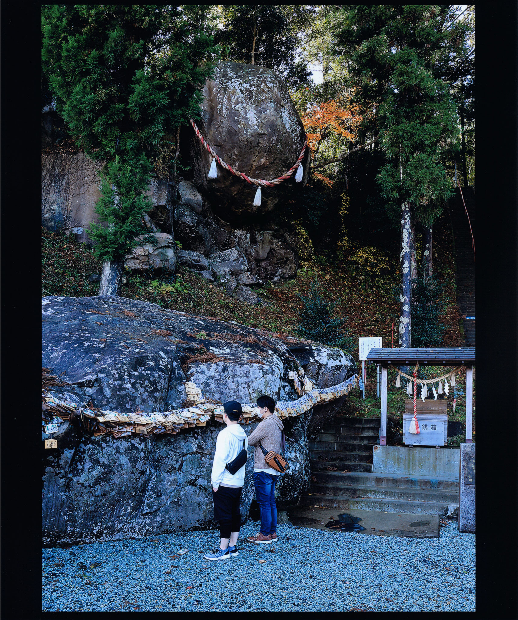 太平洋写真学校賞/伊藤千代子　　タイトル「受験の神様　釣石神社」