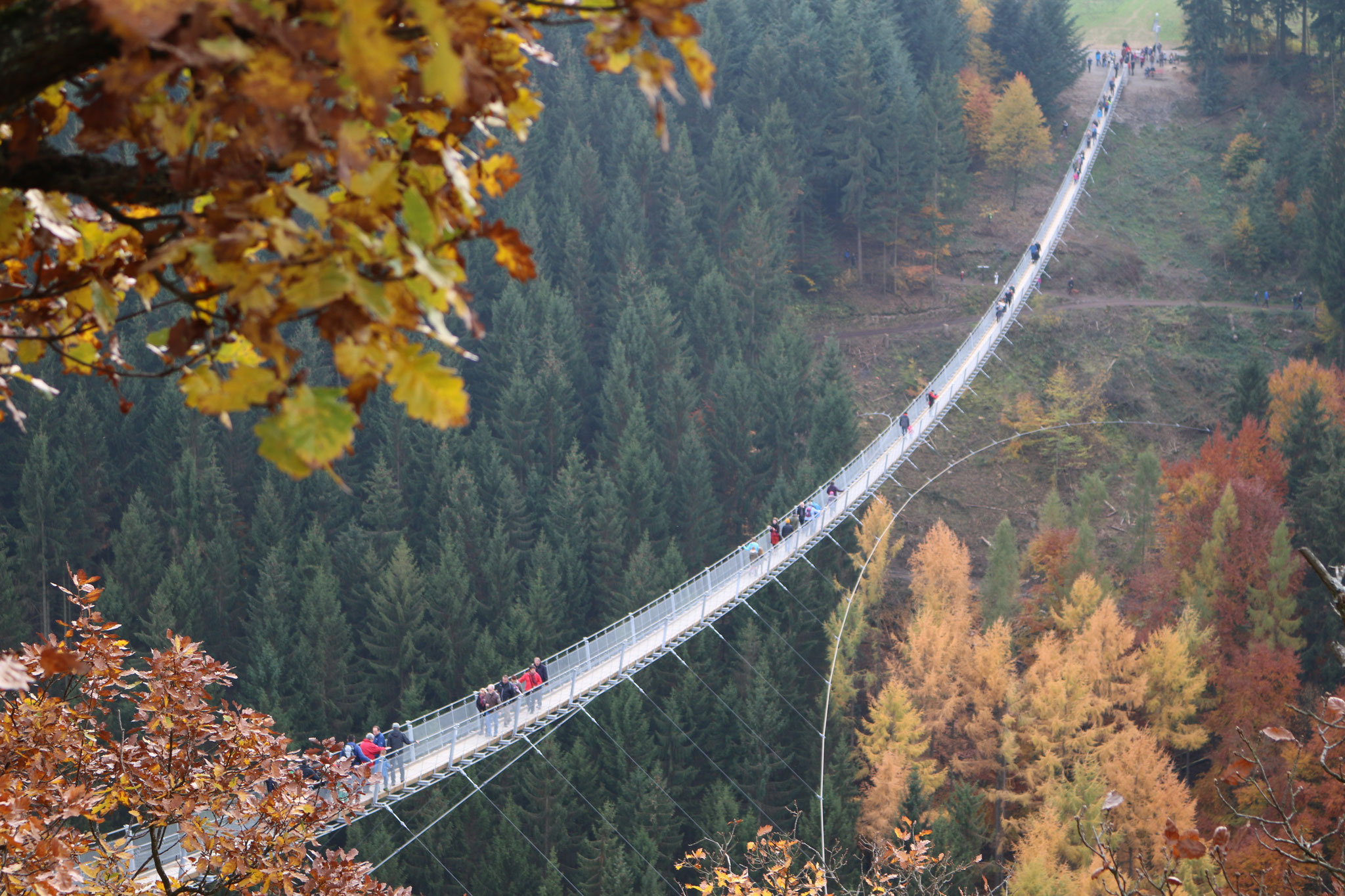 Die Geierlay ist die längste Hängeseilbrücke Deutschlands (360m) 