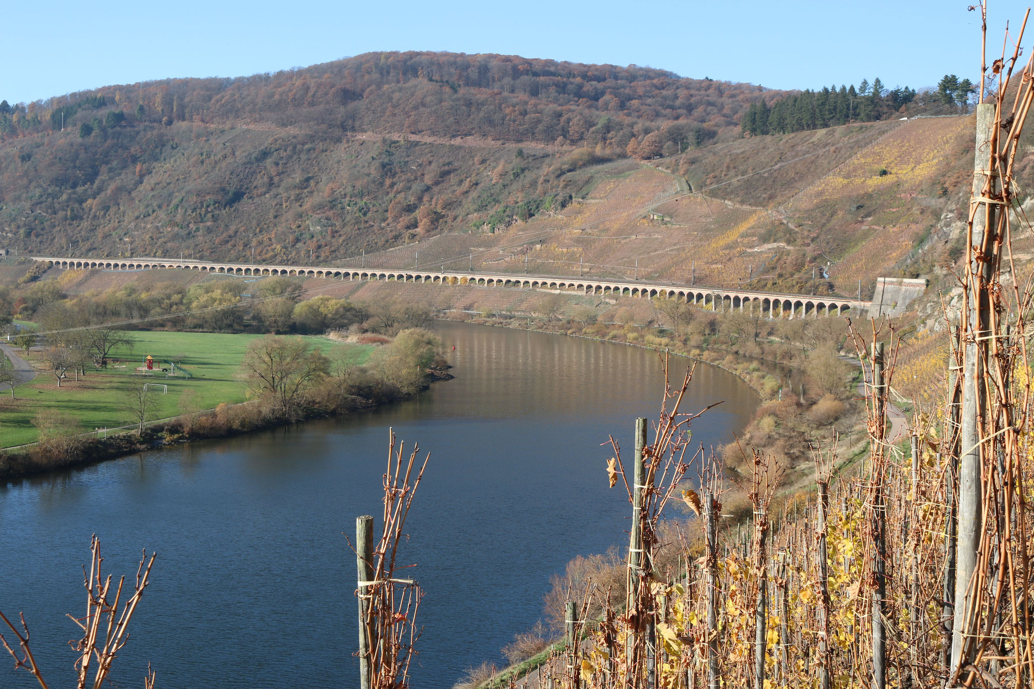 Der längste Hangviadukt (786m) einer Eisenbahnstrecke in Deutschland bei Pünderich an der Mosel