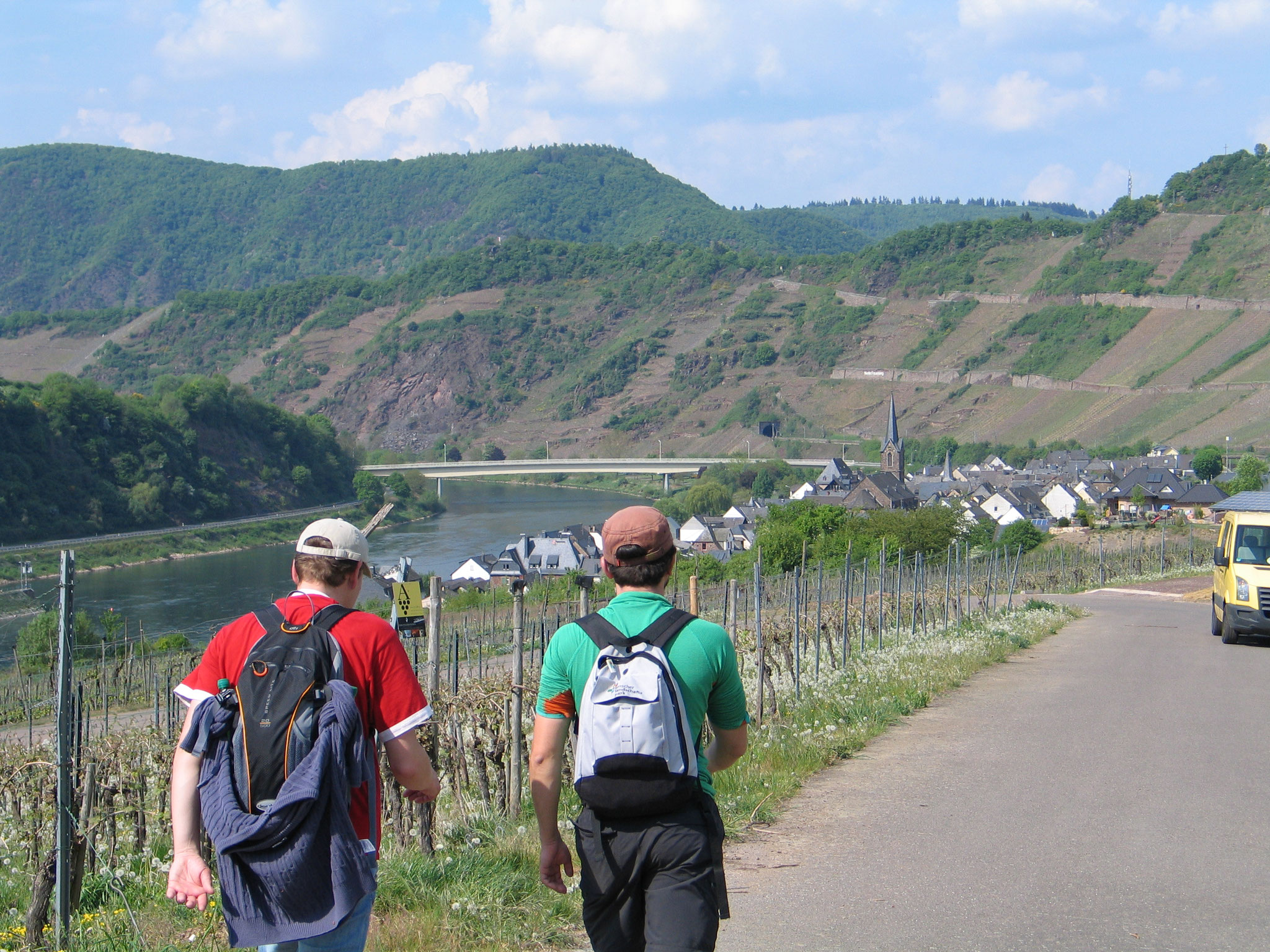 Wandern durch die Weinberge bei Neef an der Mosel