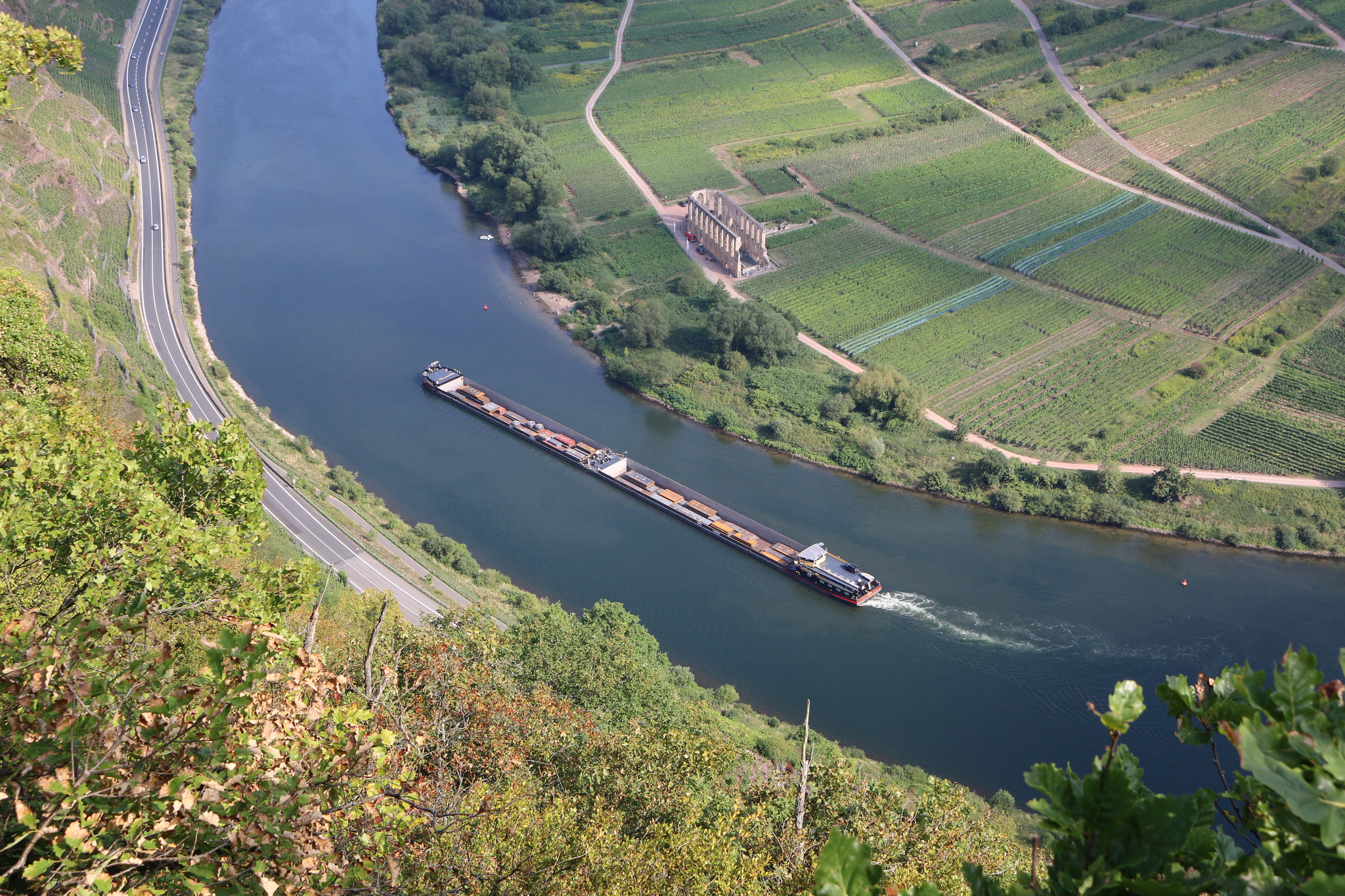 Ausblick von einer der steilsten Weinberge in Europa