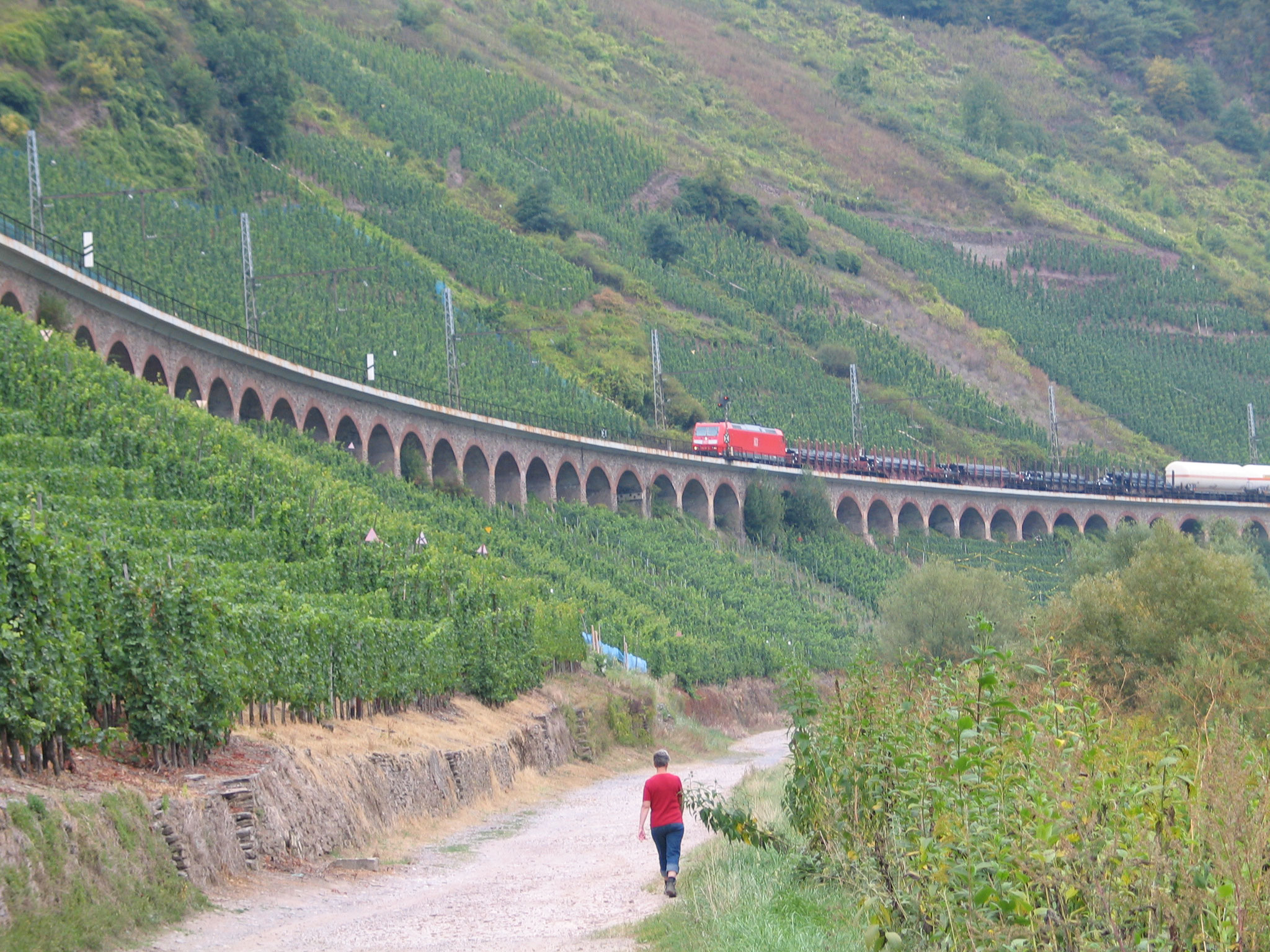 Das Viadukt von Weinbergen umgeben