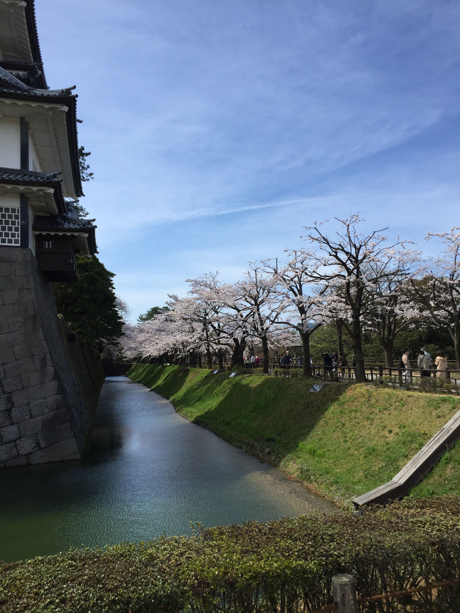 お堀も　桜並木　♪